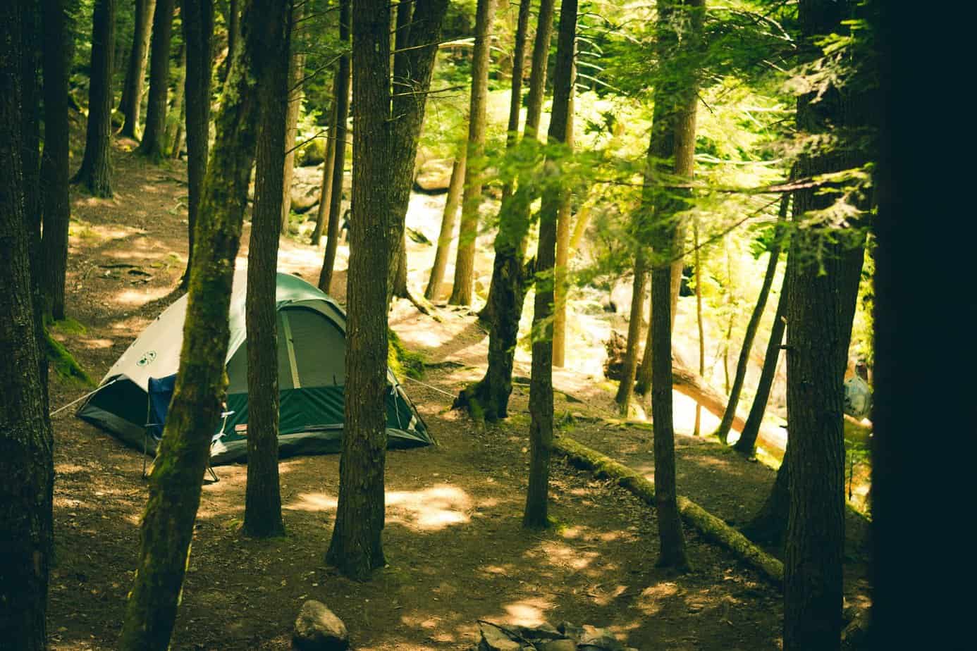 tent in the forest