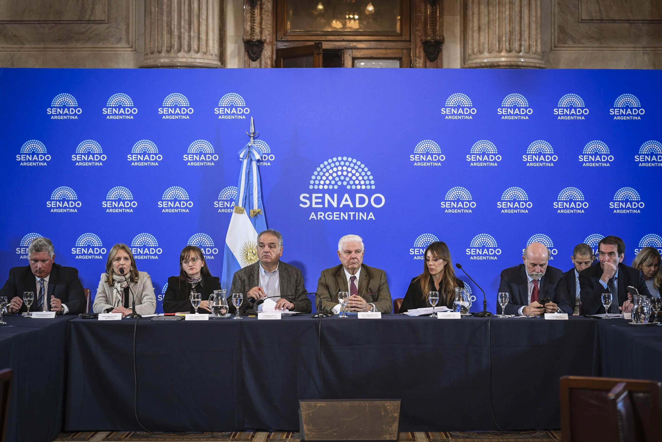 Avanza en el Senado el debate para reformar los subsidios de gas en zonas frías y tarifas de energía
