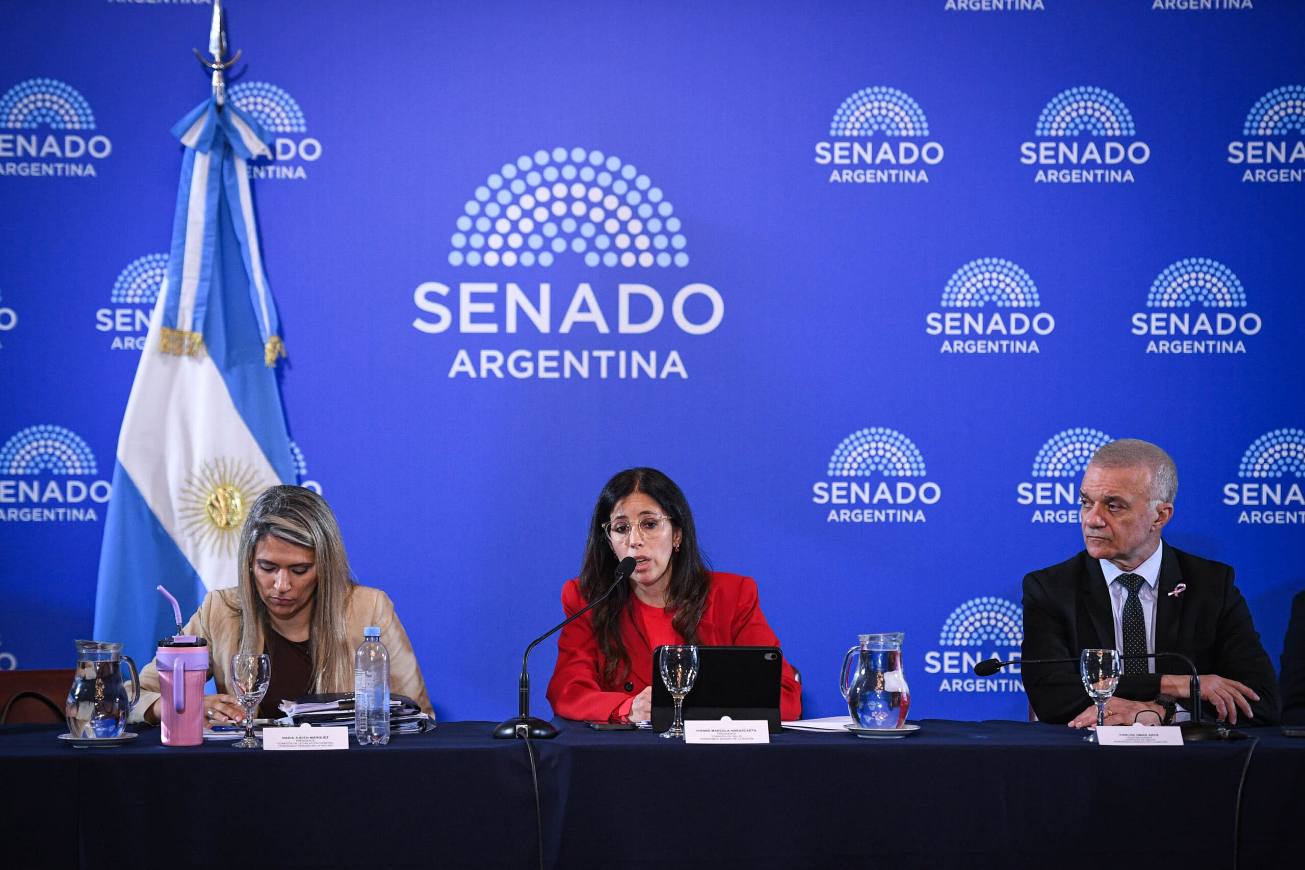 Avanza la reforma de la Ley de Salud Mental con dictamen en comisiones