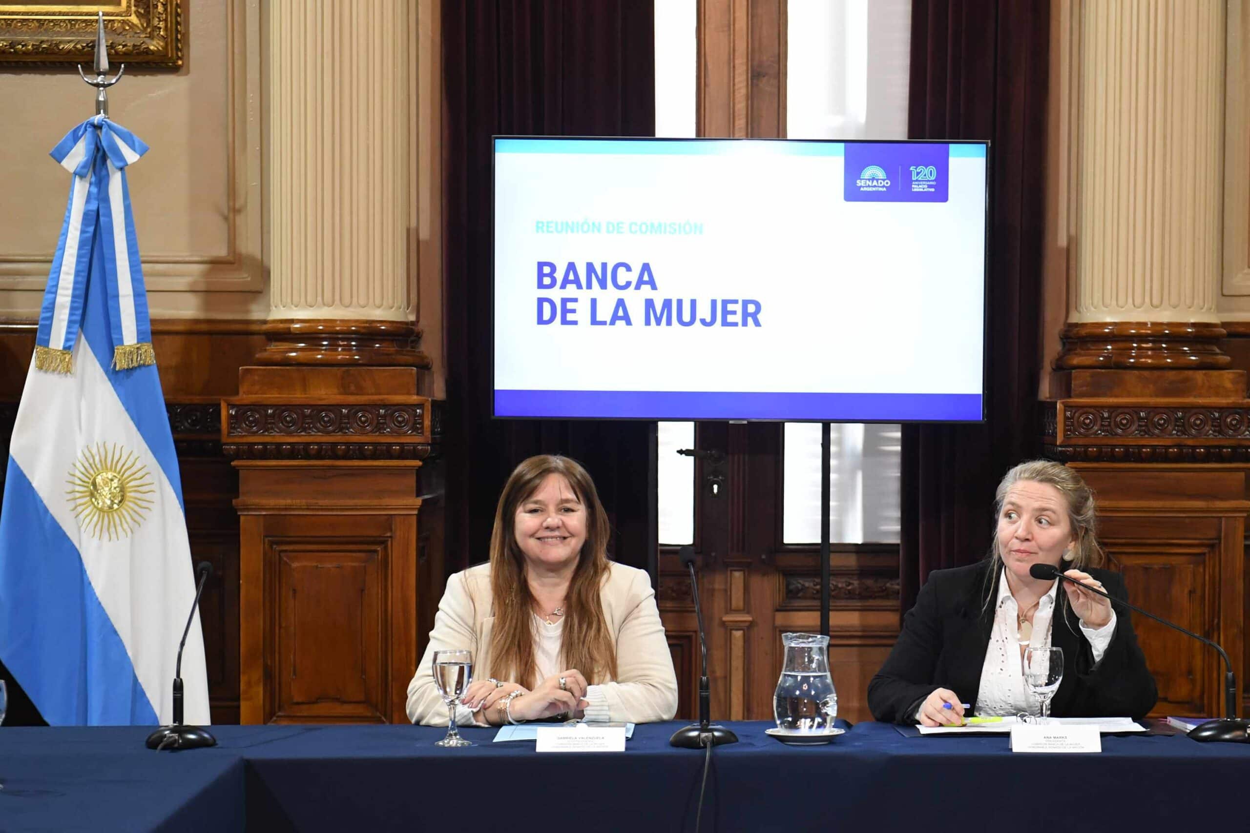 Banca de la Mujer realizó una reunión informativa sin quórum en el Senado