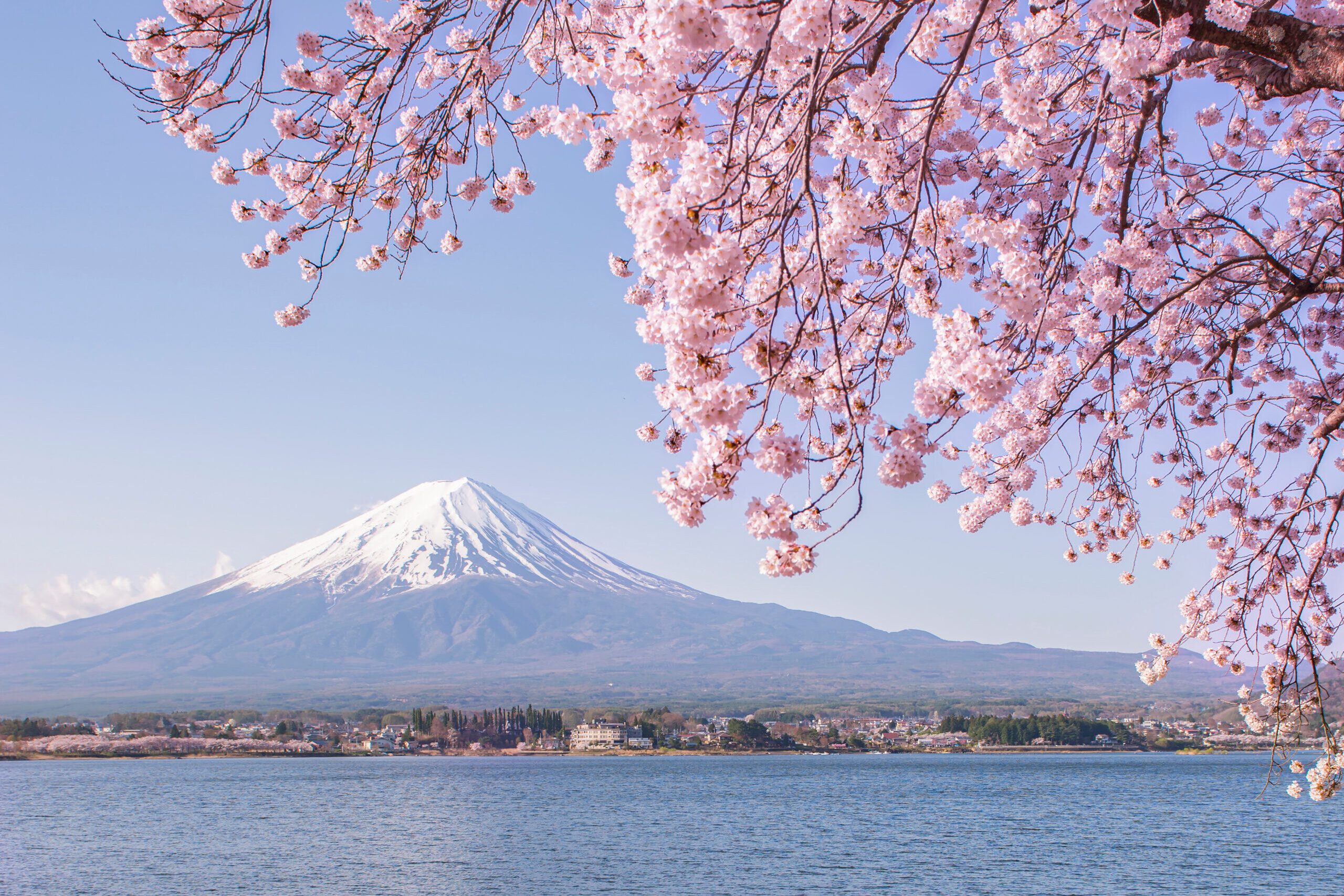 Hikers climbing the upper volcanic slopes of Mount Fuji during the official summer season