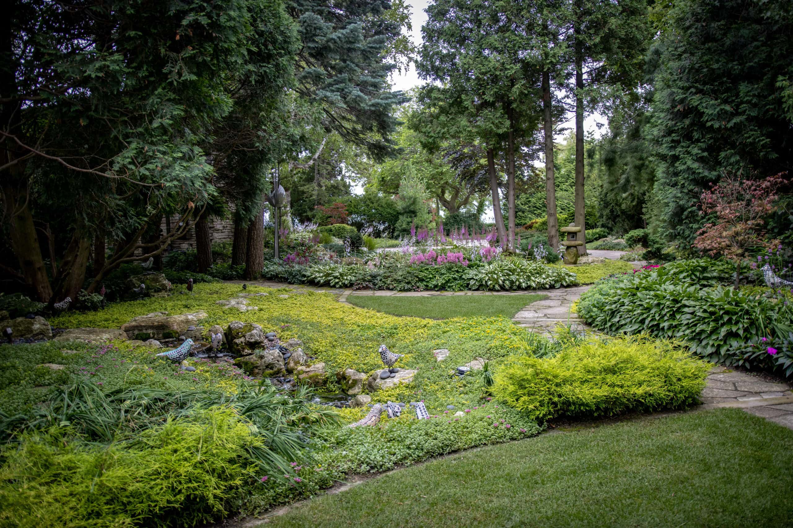 lawn with trees