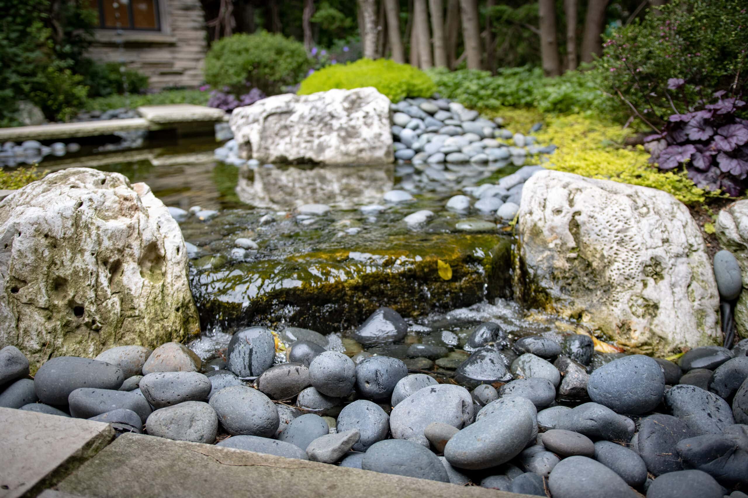 stone pond