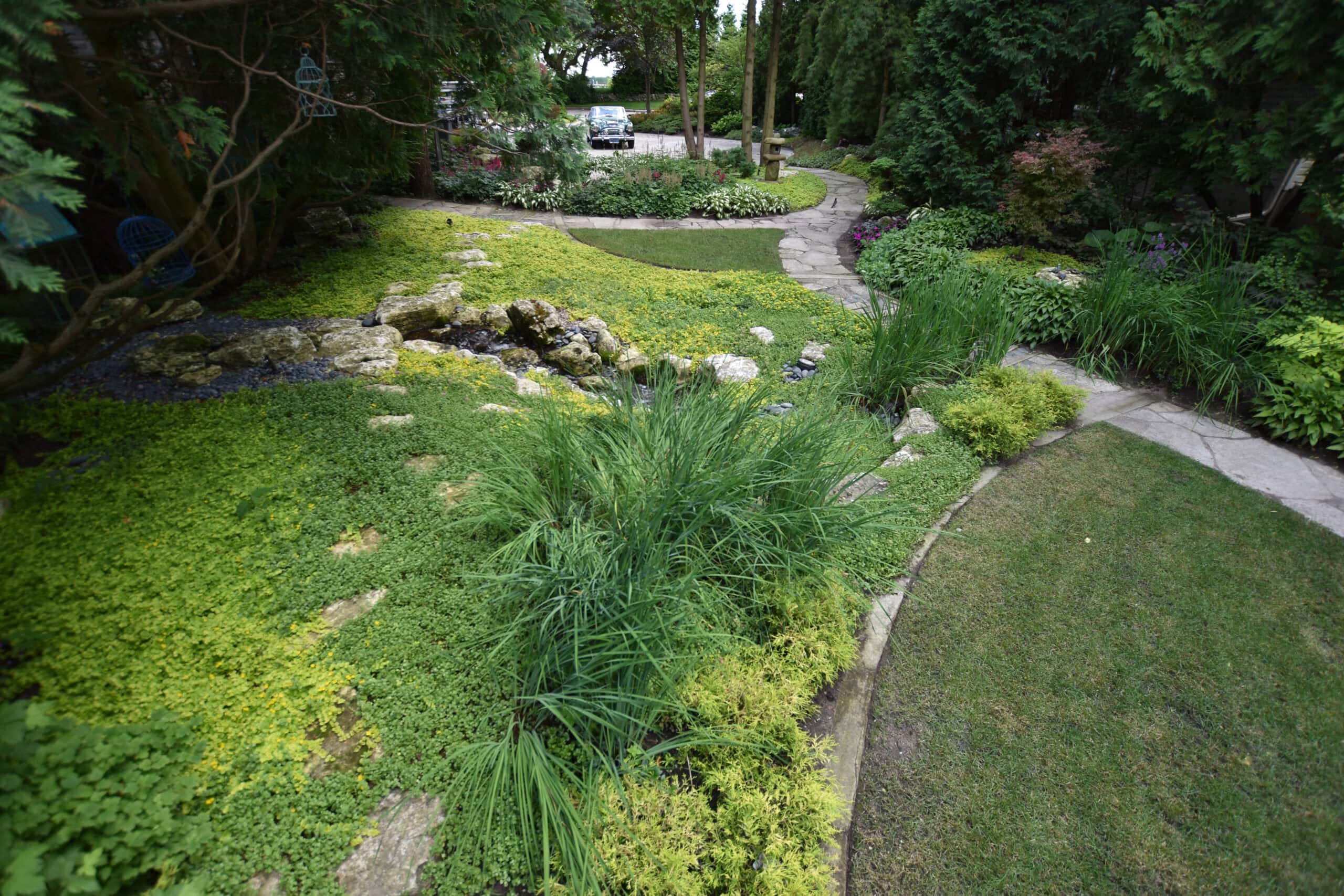 garden and lawn