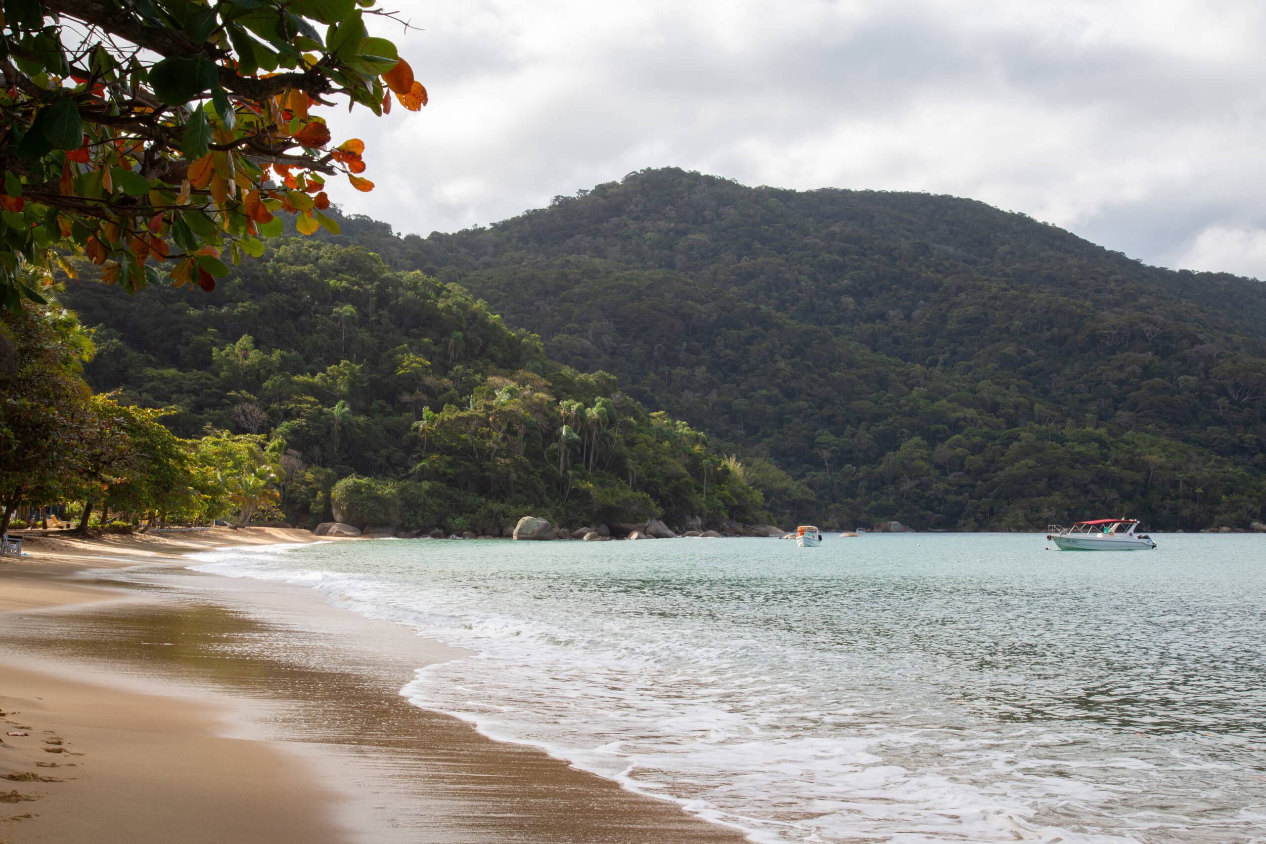 Palmas Beach with golden sand and tree-covered mountains in Ilha Grande, brazil.
