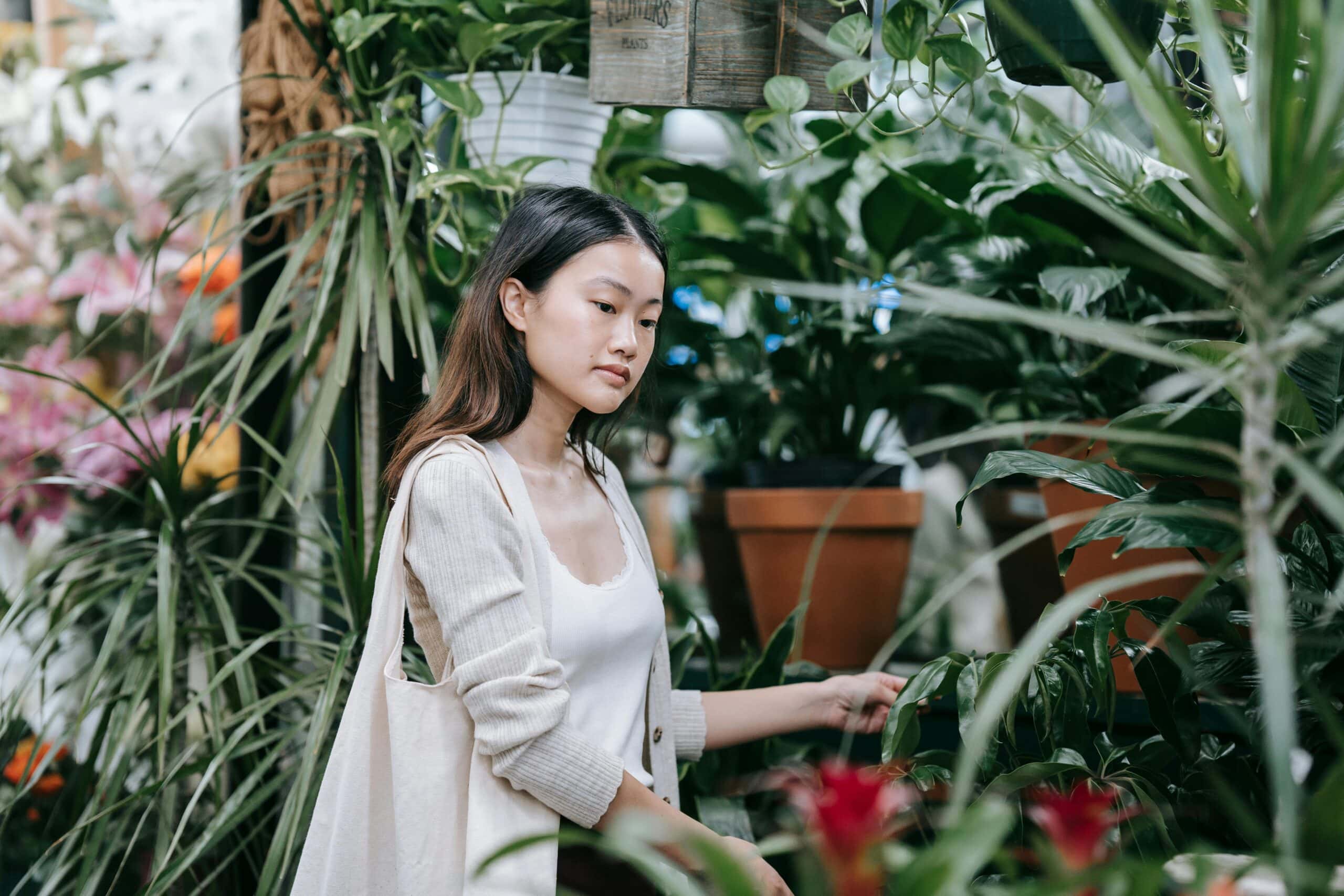 Woman Shopping houseplants