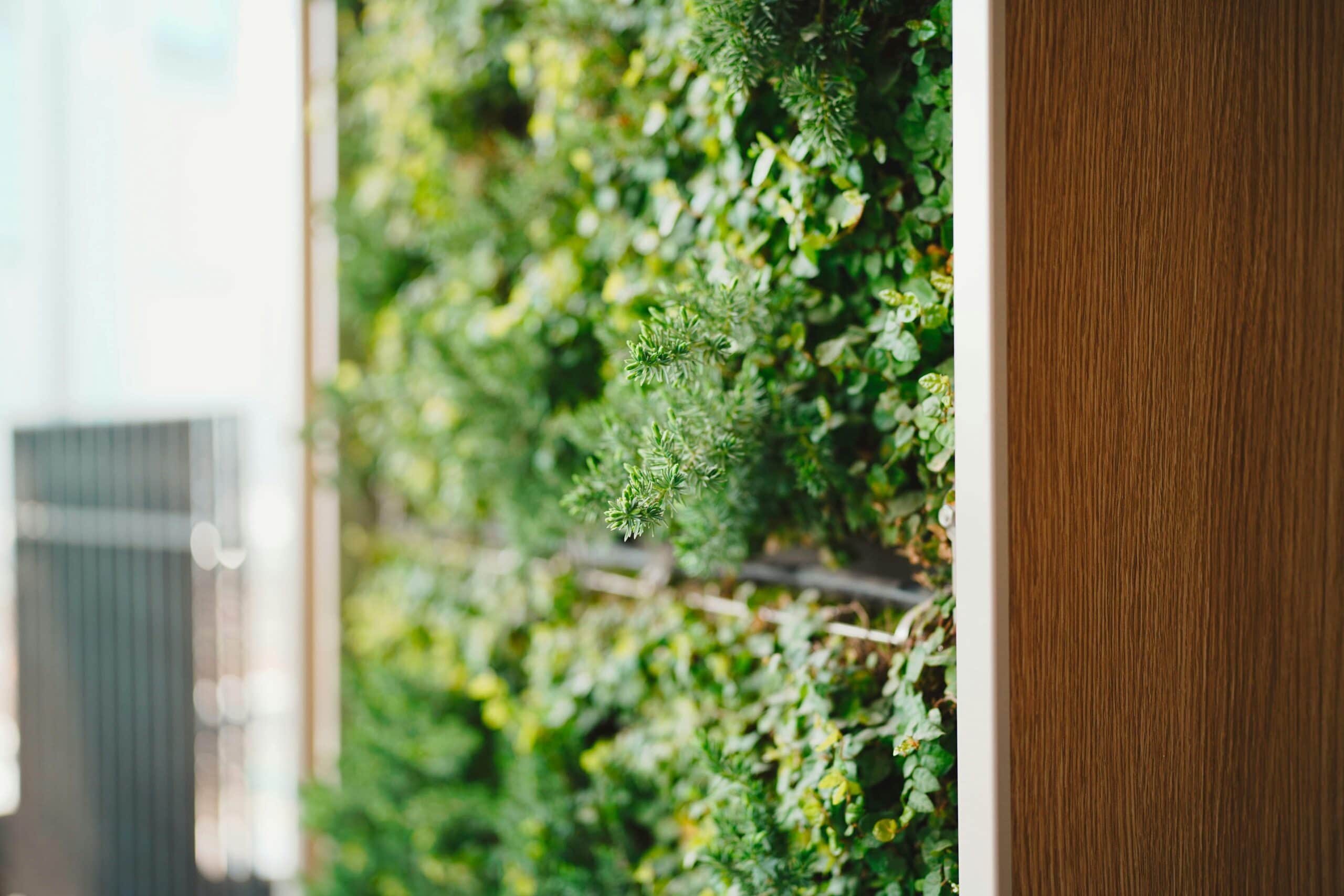 Biophilic Design: 7 Ways to Blend Your Home Seamlessly with Its Natural Surroundings