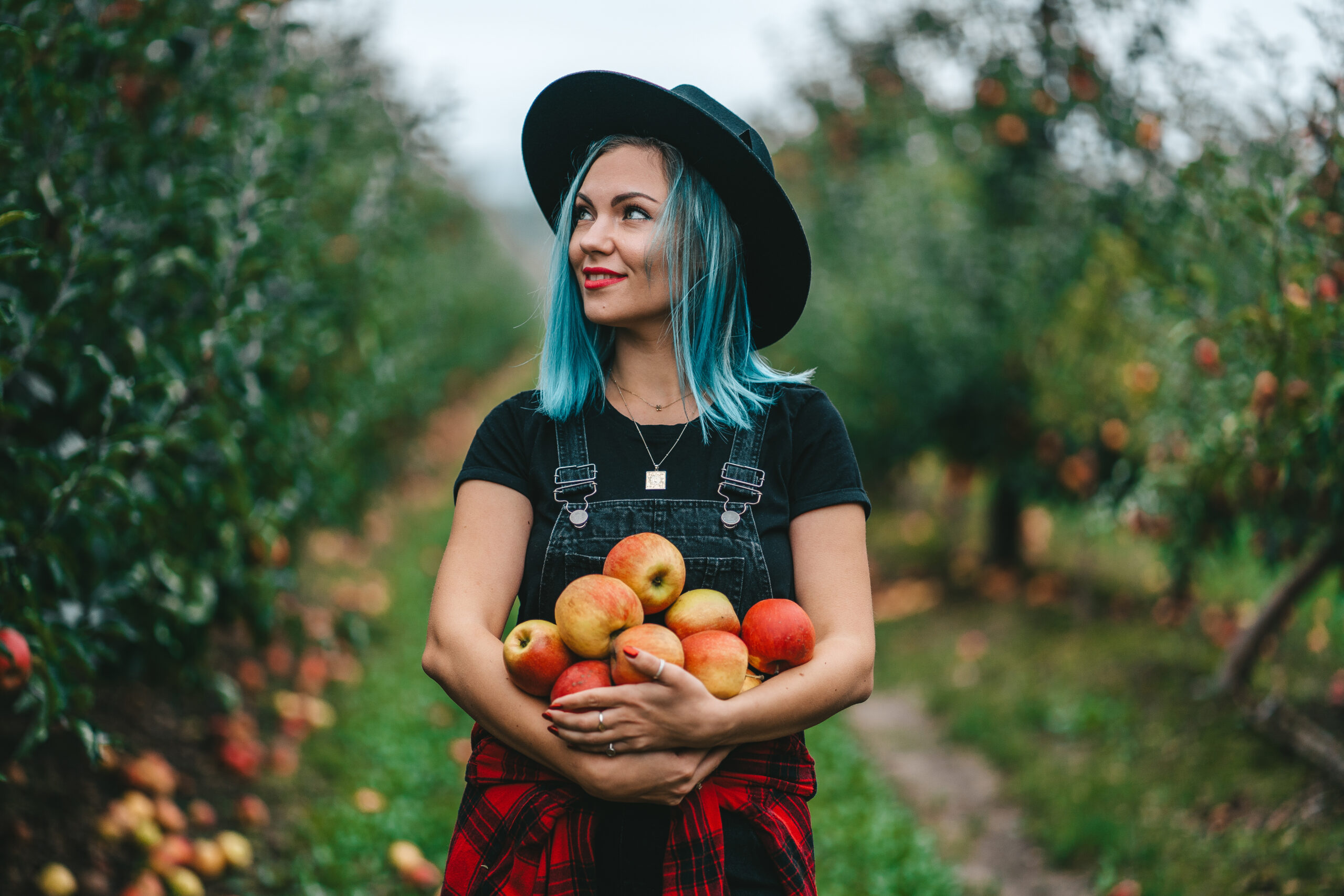 You are currently viewing Apple Picking in High Country, NC: A Fall Tradition You Can’t Miss