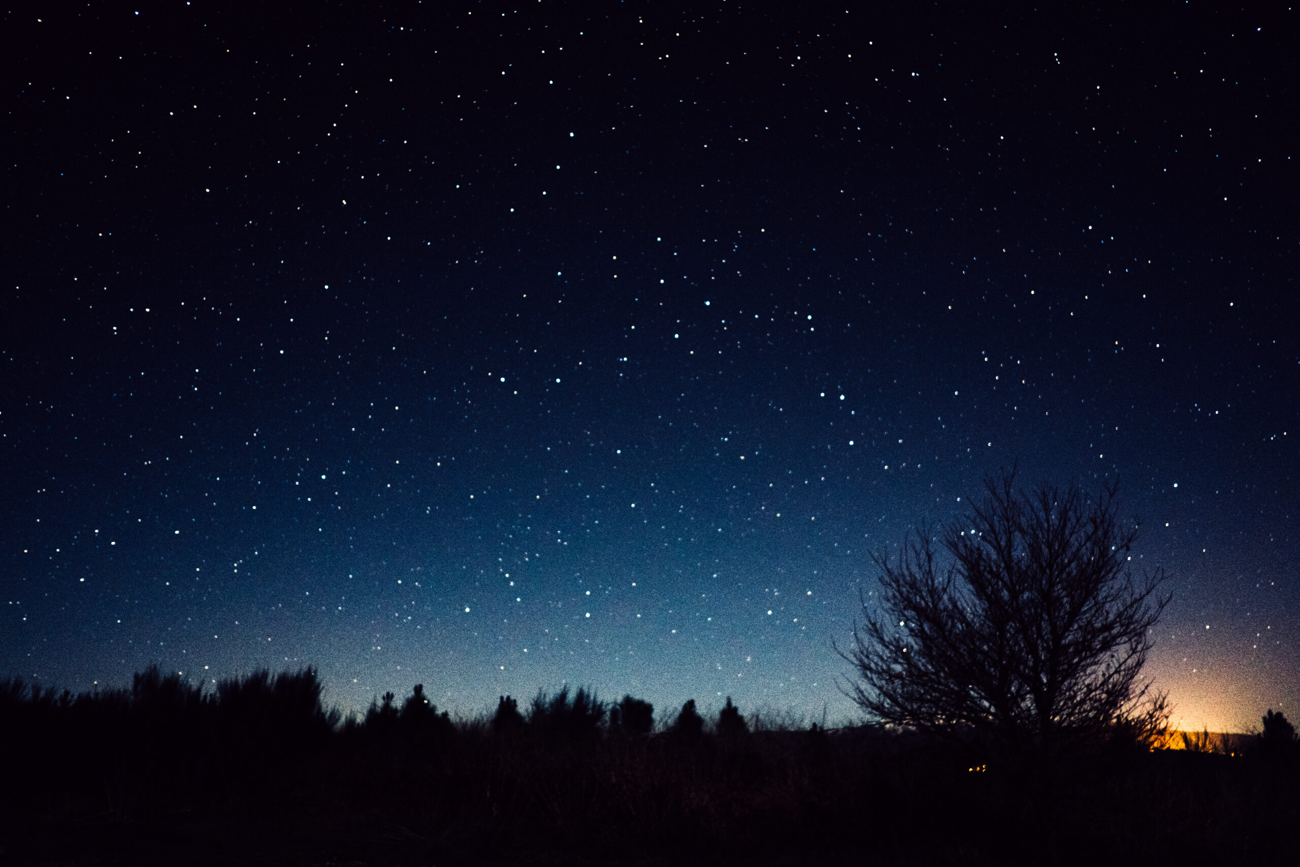 You are currently viewing Cosmic Centric Getaway Trends | at White Fence Farm
