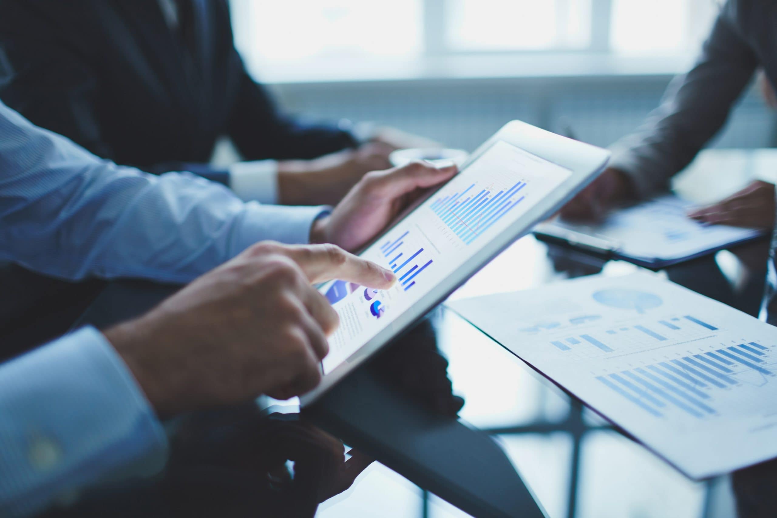 Setur Marinalar,  IFRS Dönüşüm Projesi  