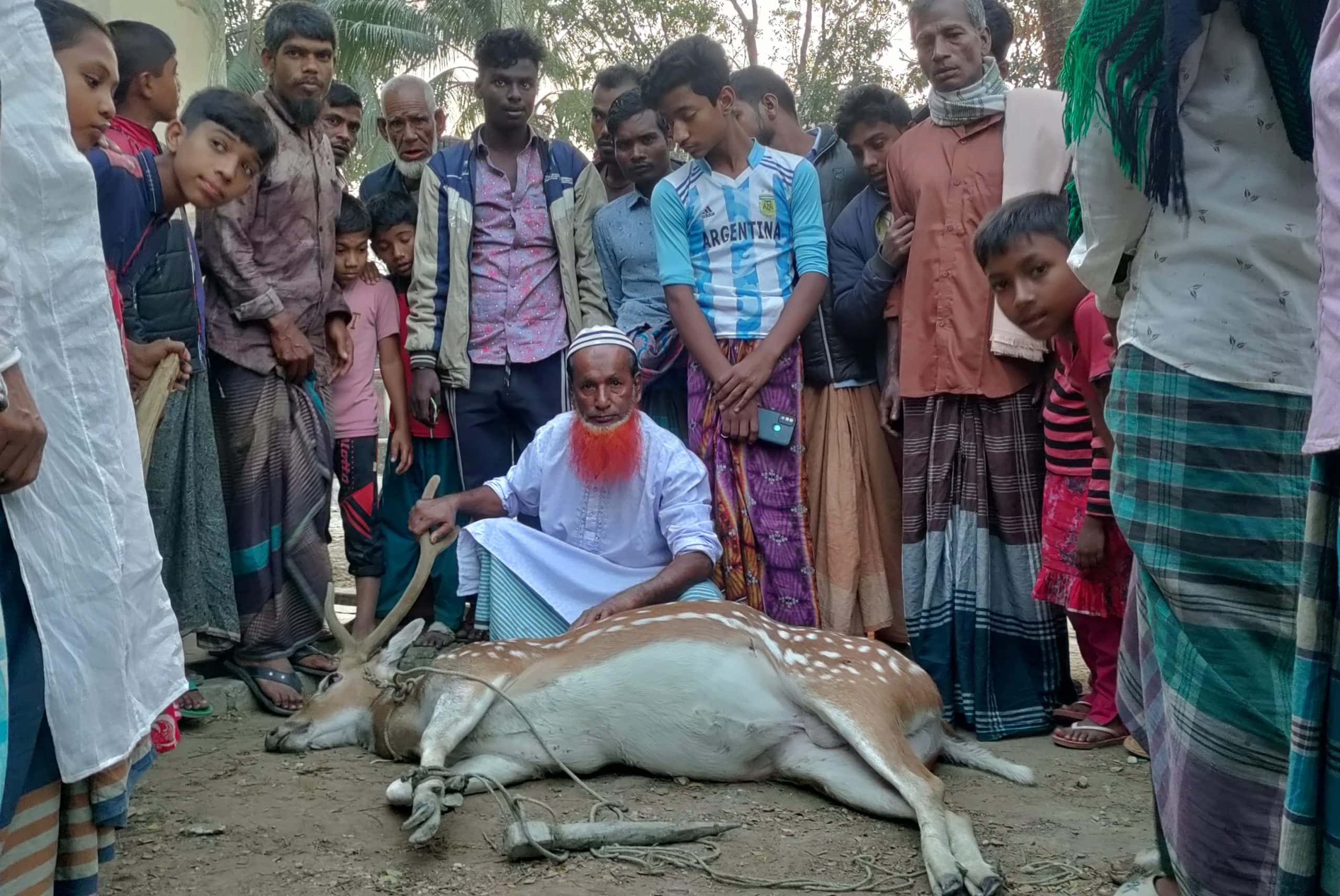 তজুমদ্দিনের চরে কুকুরের কামড়ে হরিণের মৃত্যু