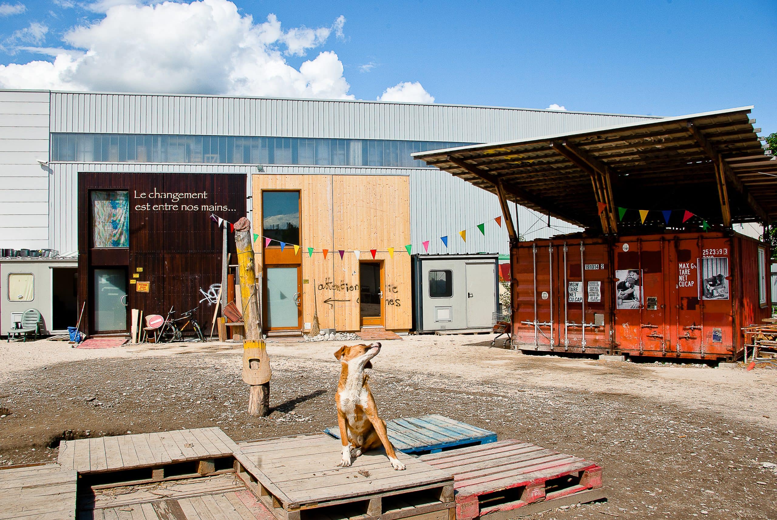 recueils de témoignages