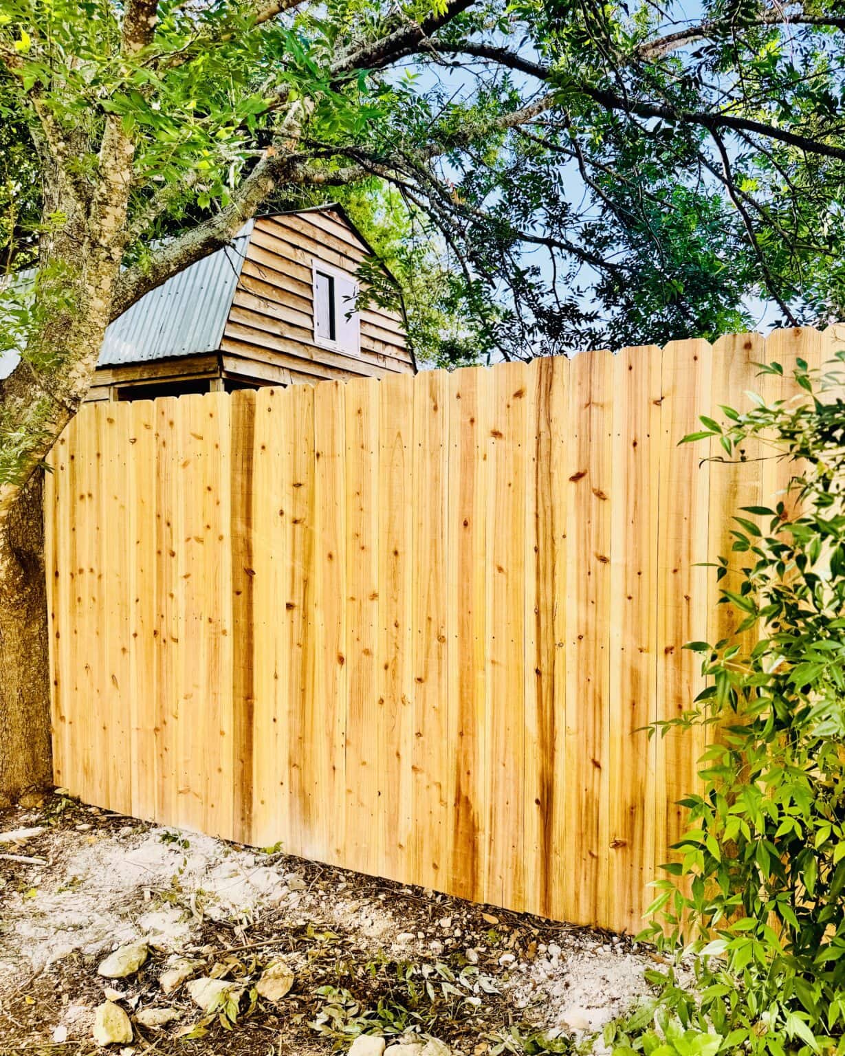 New wood privacy fence installation with a small shed and trees in the background