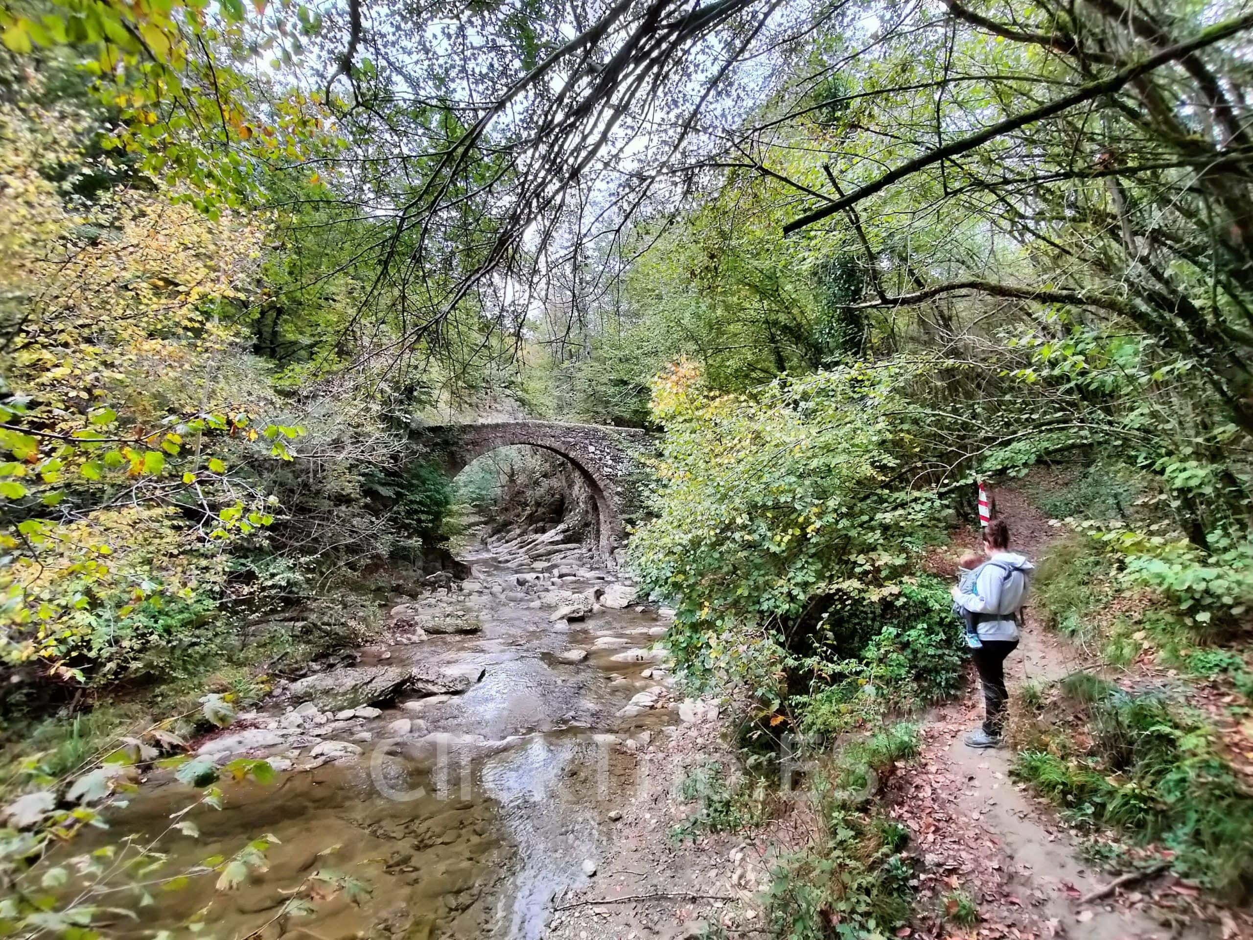 Puente románico de Salgueda de Vidrà | Salt del Molí de Vidrà | ClickTrip.ES Puente románico de Salgueda | Ruta para llegar al Salt del Molí de Vidrà