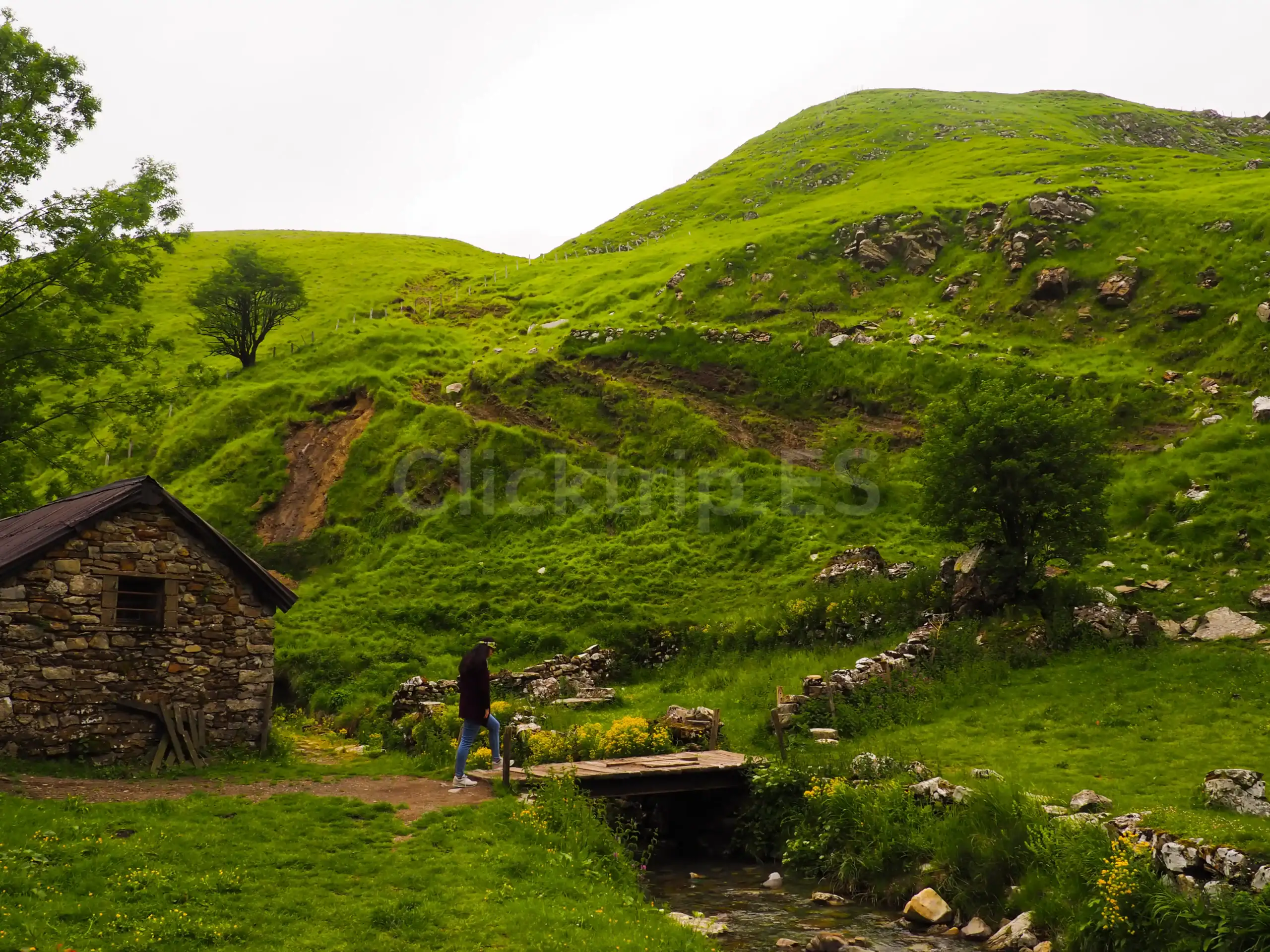 Camino como llegar a la Ruta Cueva de Arpea en Navarra_ClickTrip