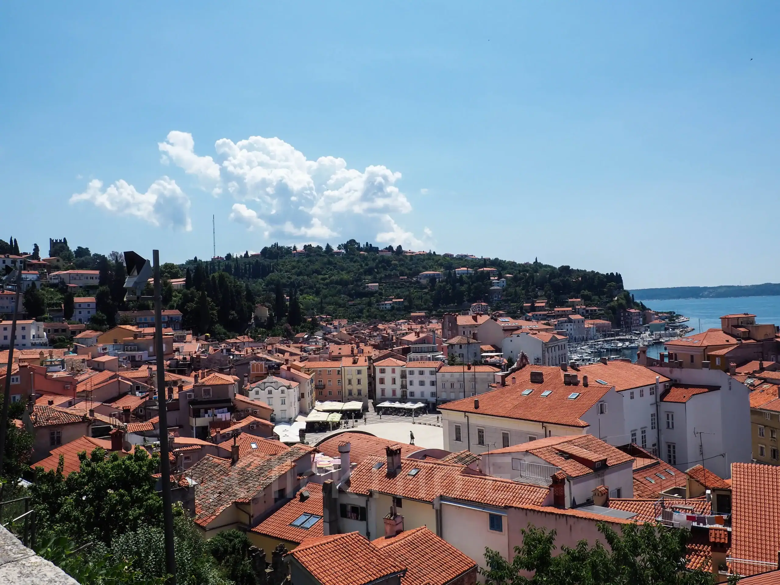 Que ver en Piran en 1 día Mejor panorámica ciudad ClickTrip Que ver en Piran en un dia_Eslovenia_ClickTrip
