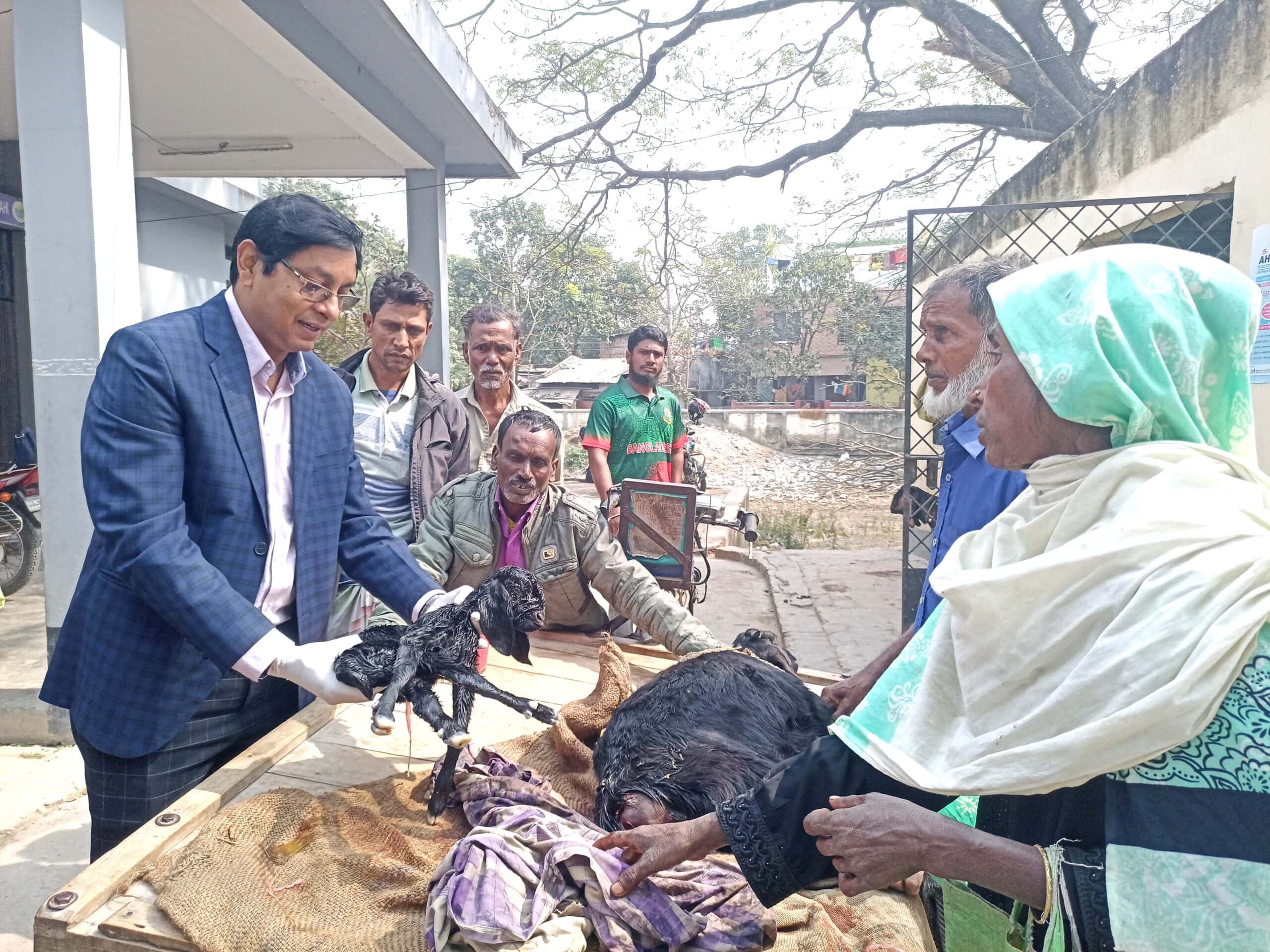 পবা উপজেলায় গবাদিপশু পালনে আগ্রহী হচ্ছে মানুষ হ্রাস পাবে বেকারত্ব শক্তিশালী হবে স্থানীয় অর্থনীতি