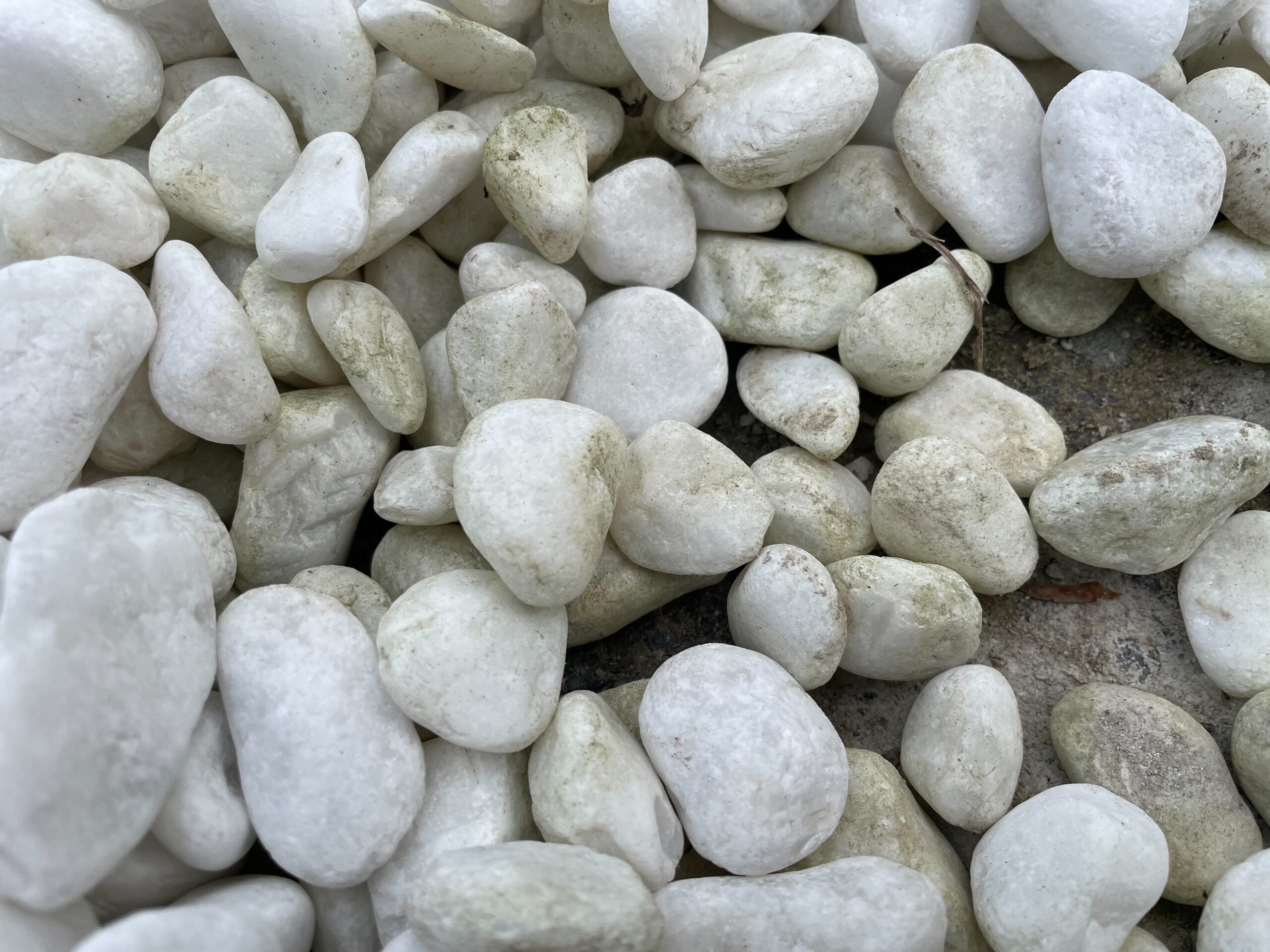 苔白玉砂利