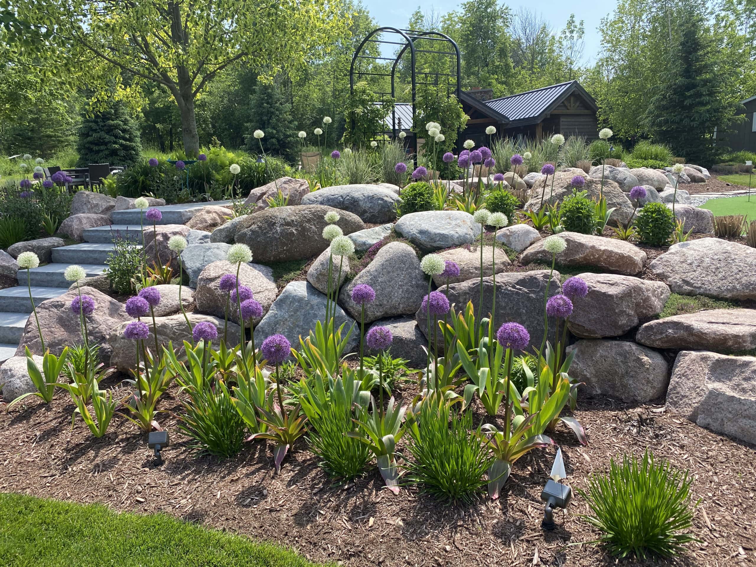 garden with rocks