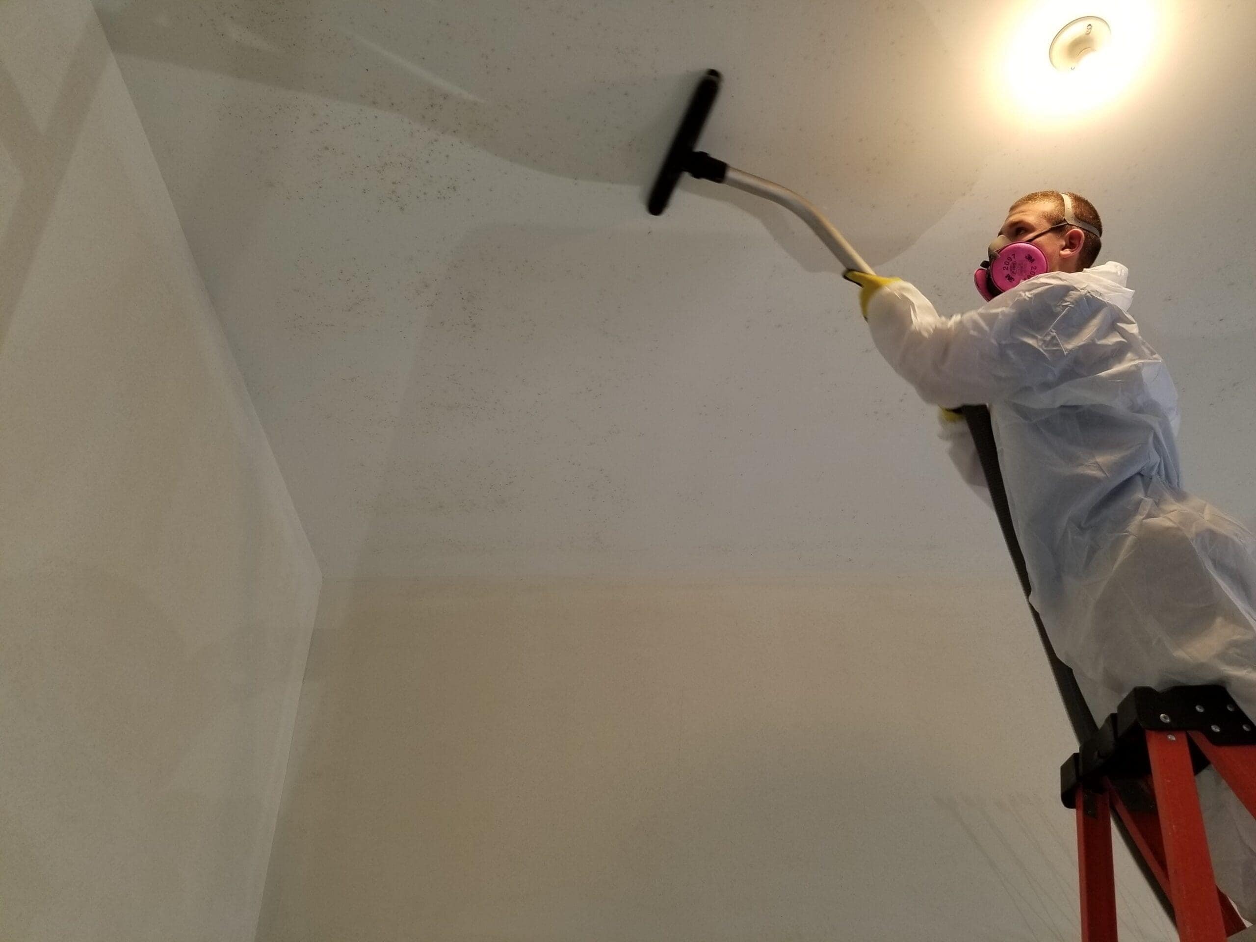 Reliable Remediation Mold Remediation 04 scaled