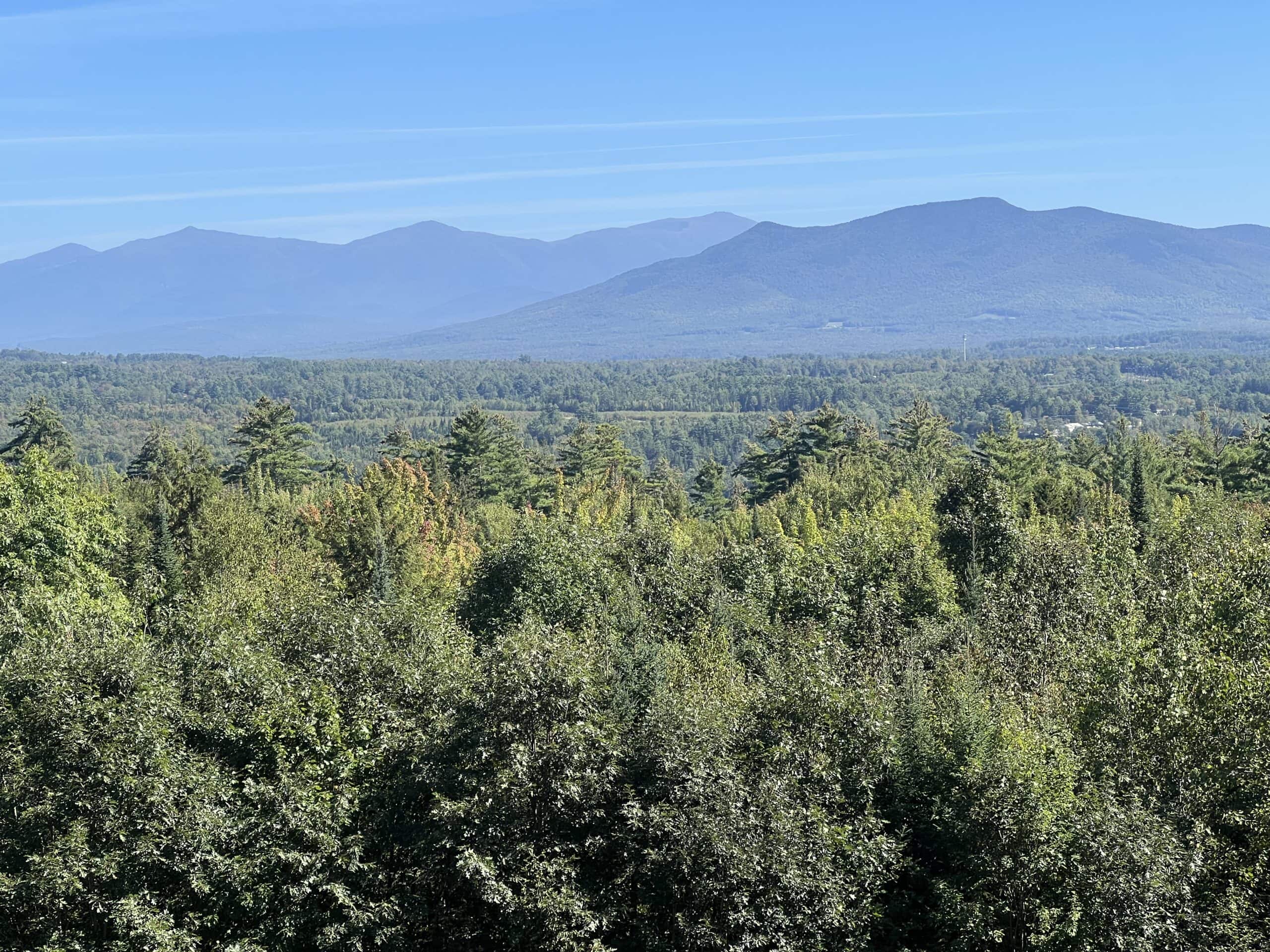 A landscape photo with blue sky, mountains and trees.