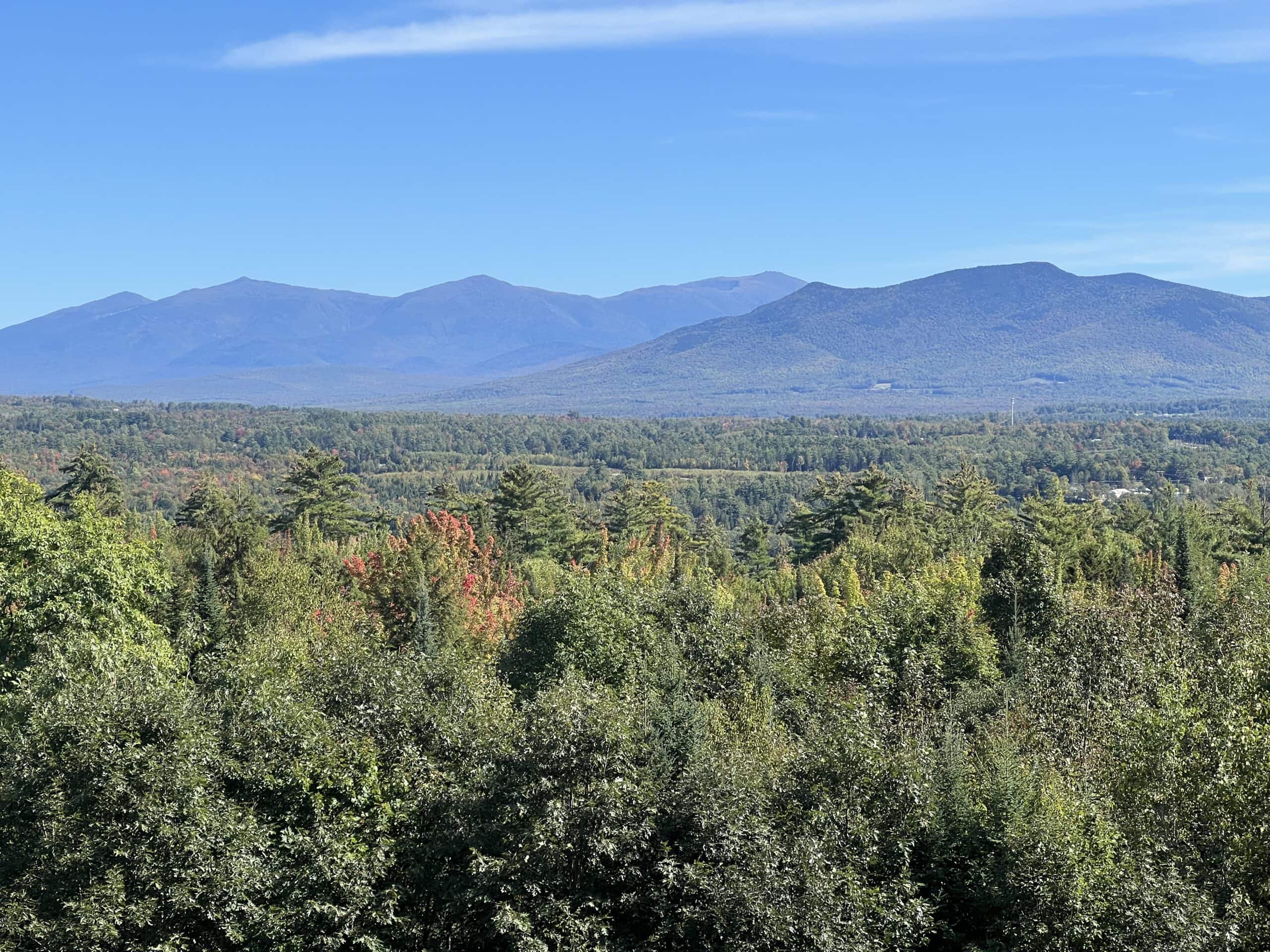 A landscape photo with blue sky, mountains and trees.