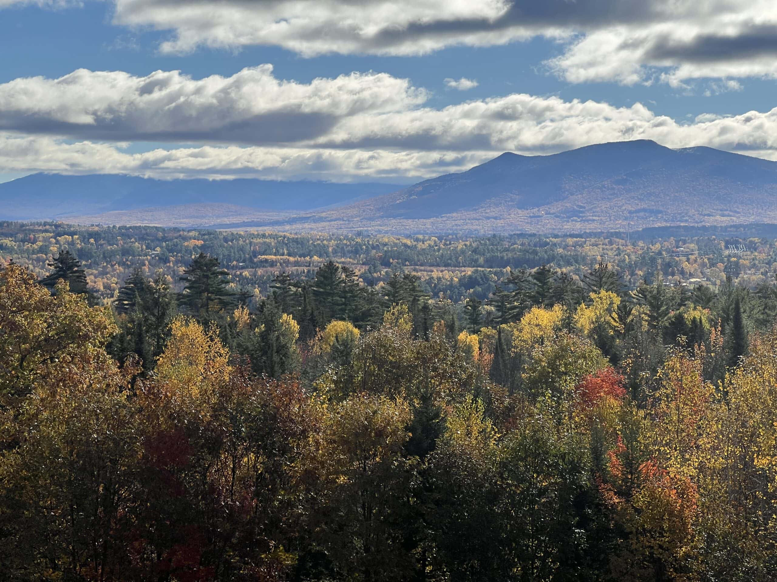 A landscape photo with blue sky, mountains and trees.