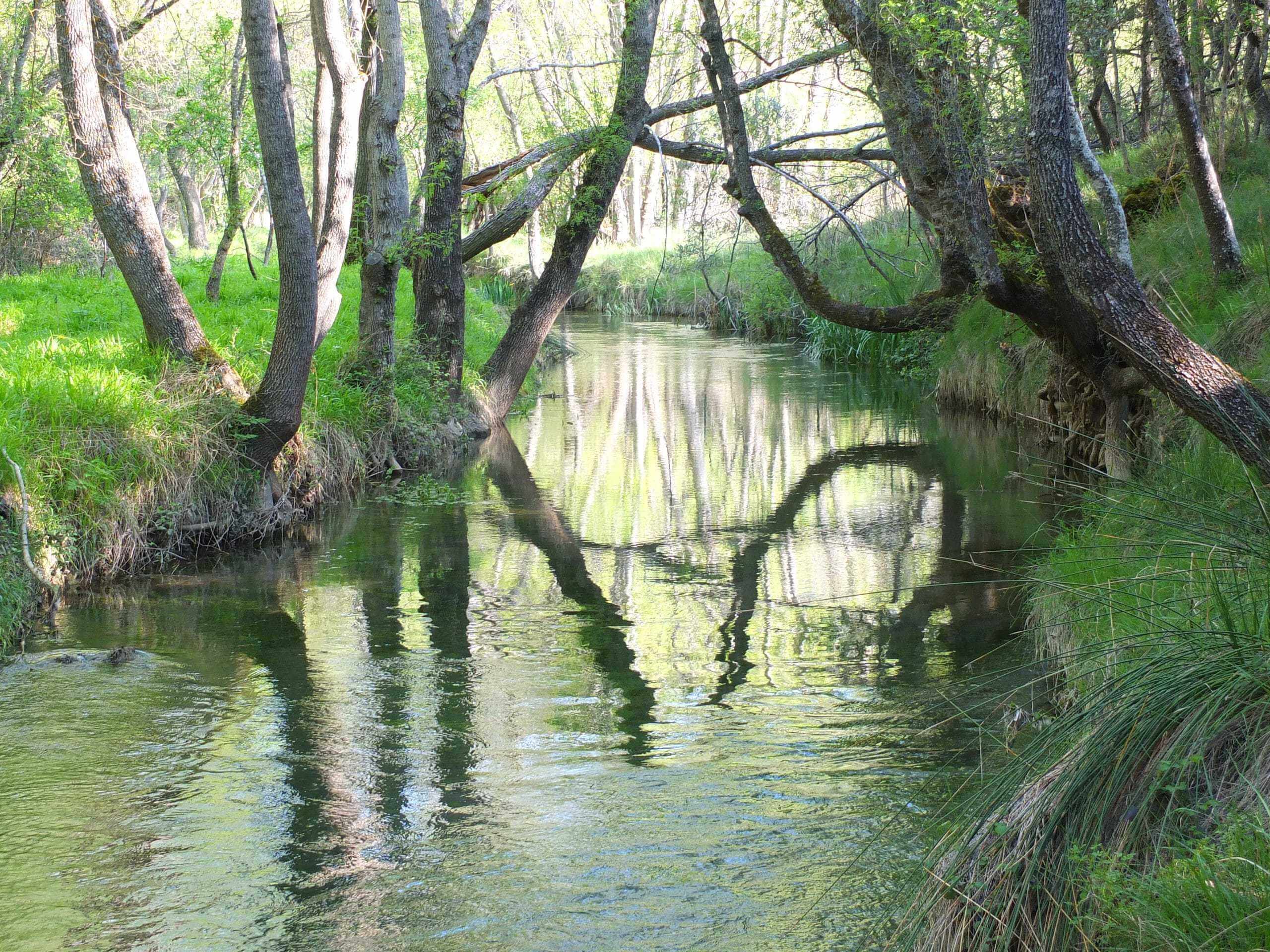 Rio Dulce al paso por La Cabrera