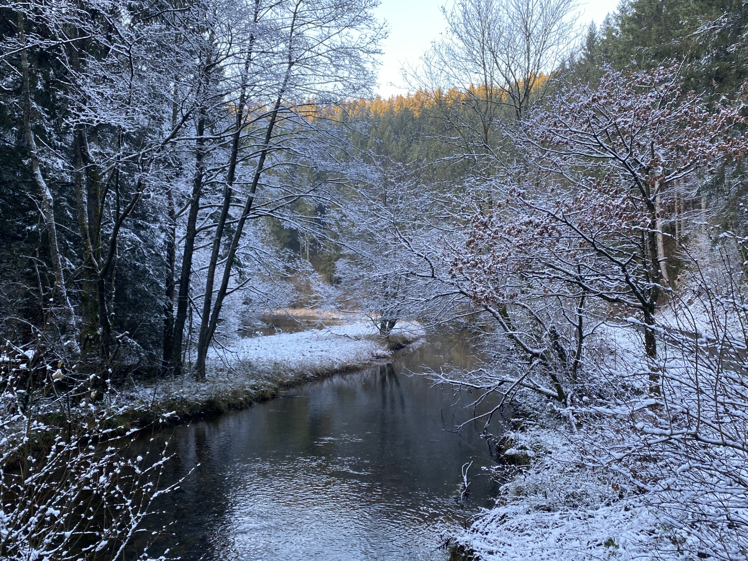 Monschau-Wanderweg am Perlbach