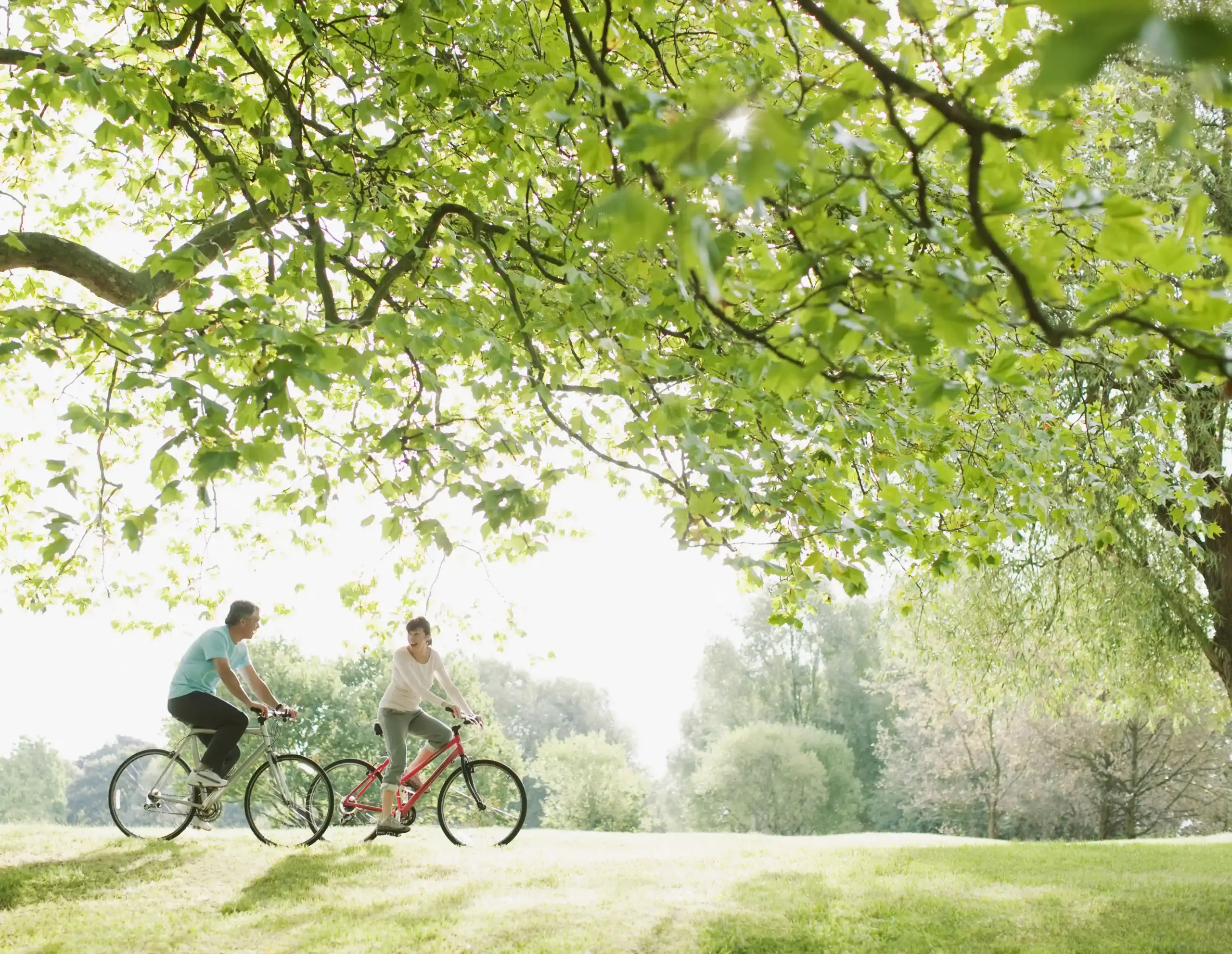 Couple riding bicycles beneath a lush green tree canopy in a sunlit park, enjoying an active outdoor lifestyle surrounded by nature in a Raleigh park