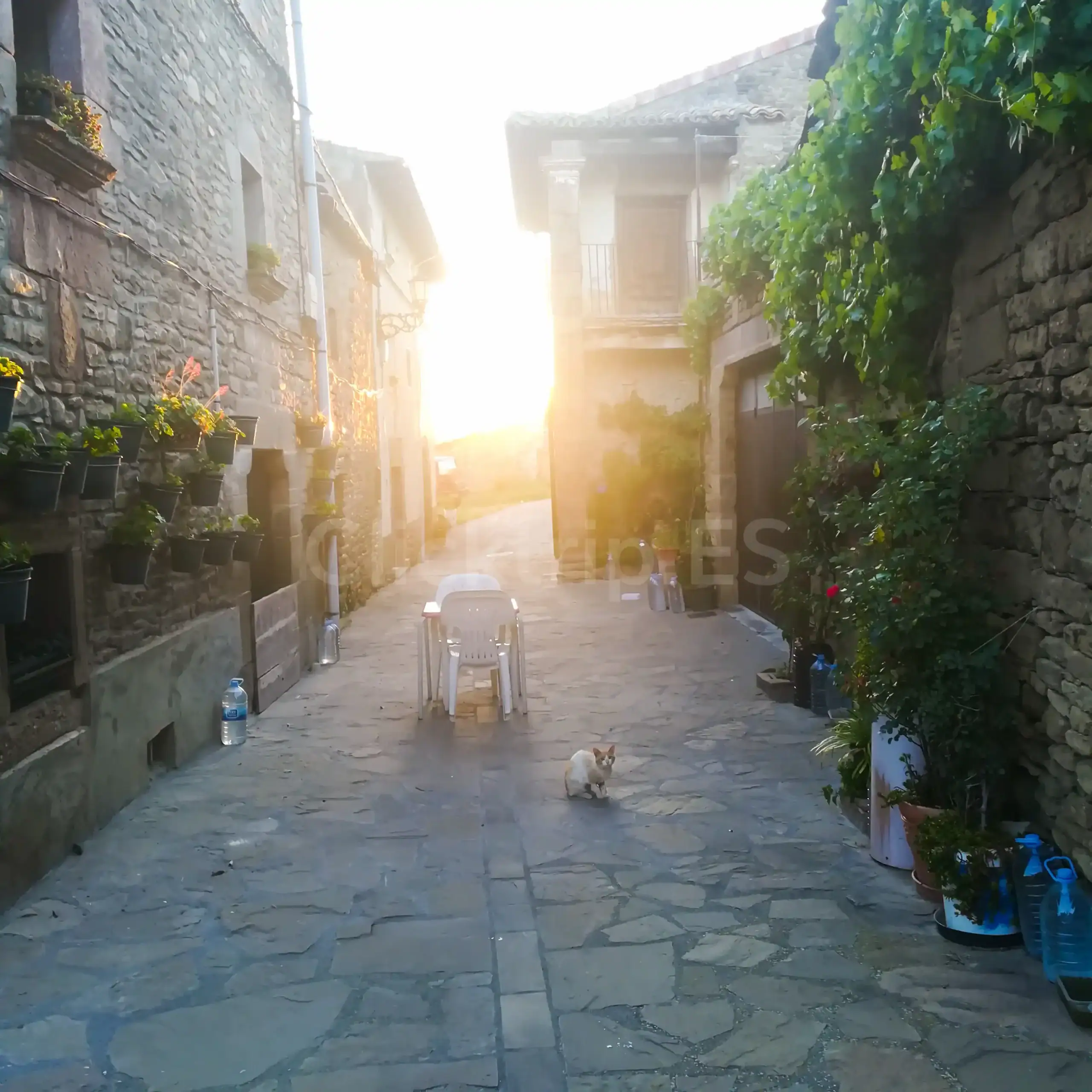 Undues-Pintano_Ruta 3 días por Navarra_ClickTrip