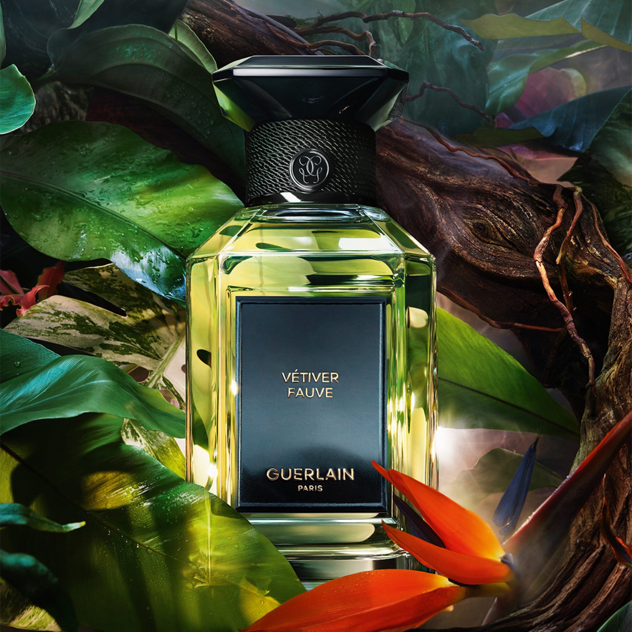 Guerlain Vétiver Fauve Eau de Parfum with fig, pineapple, cypriol, vetiver, and tonka bean