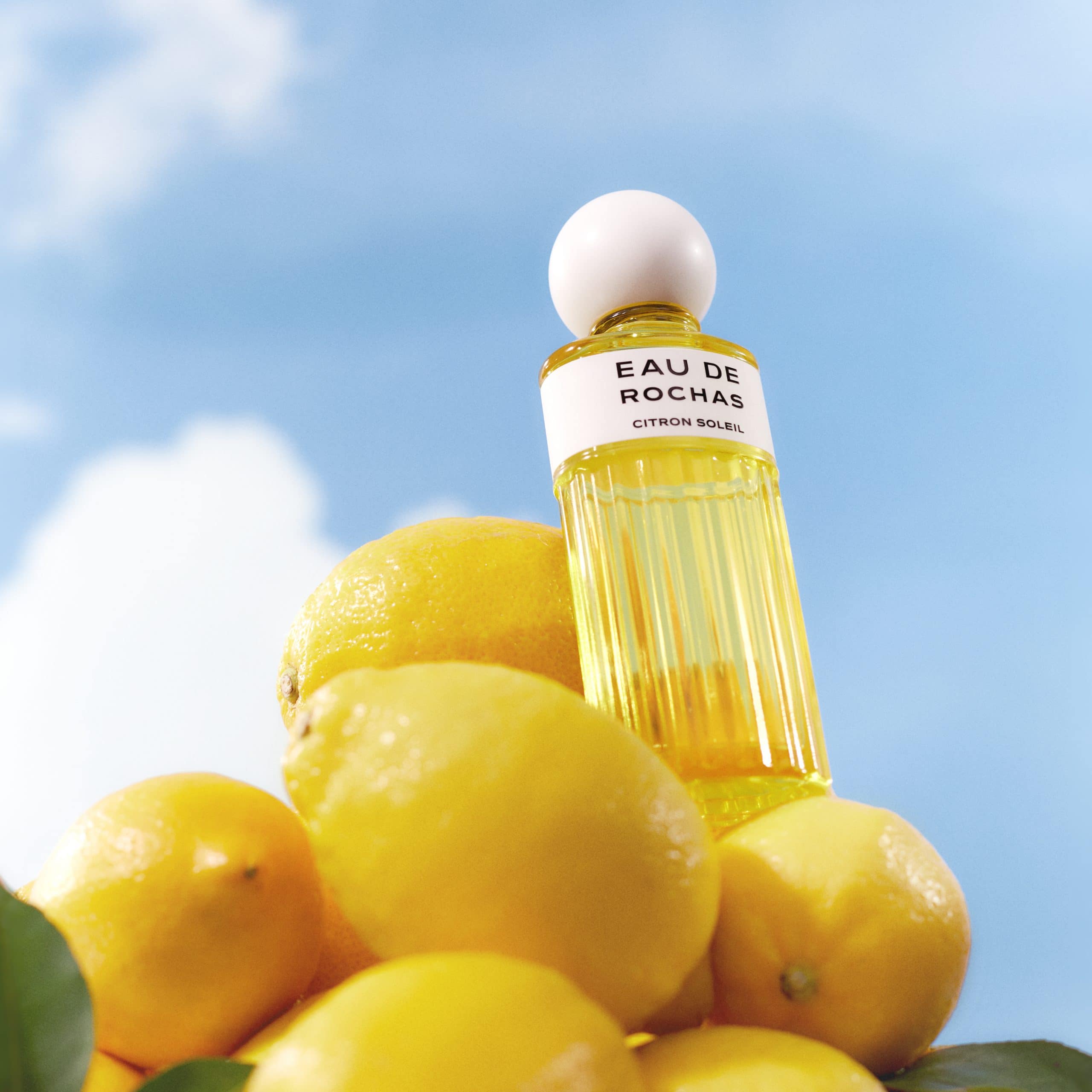 2023 DIGITAL ASSETS EDR CITRON SOLEIL LEMON PYRAMID SQUARE scaled