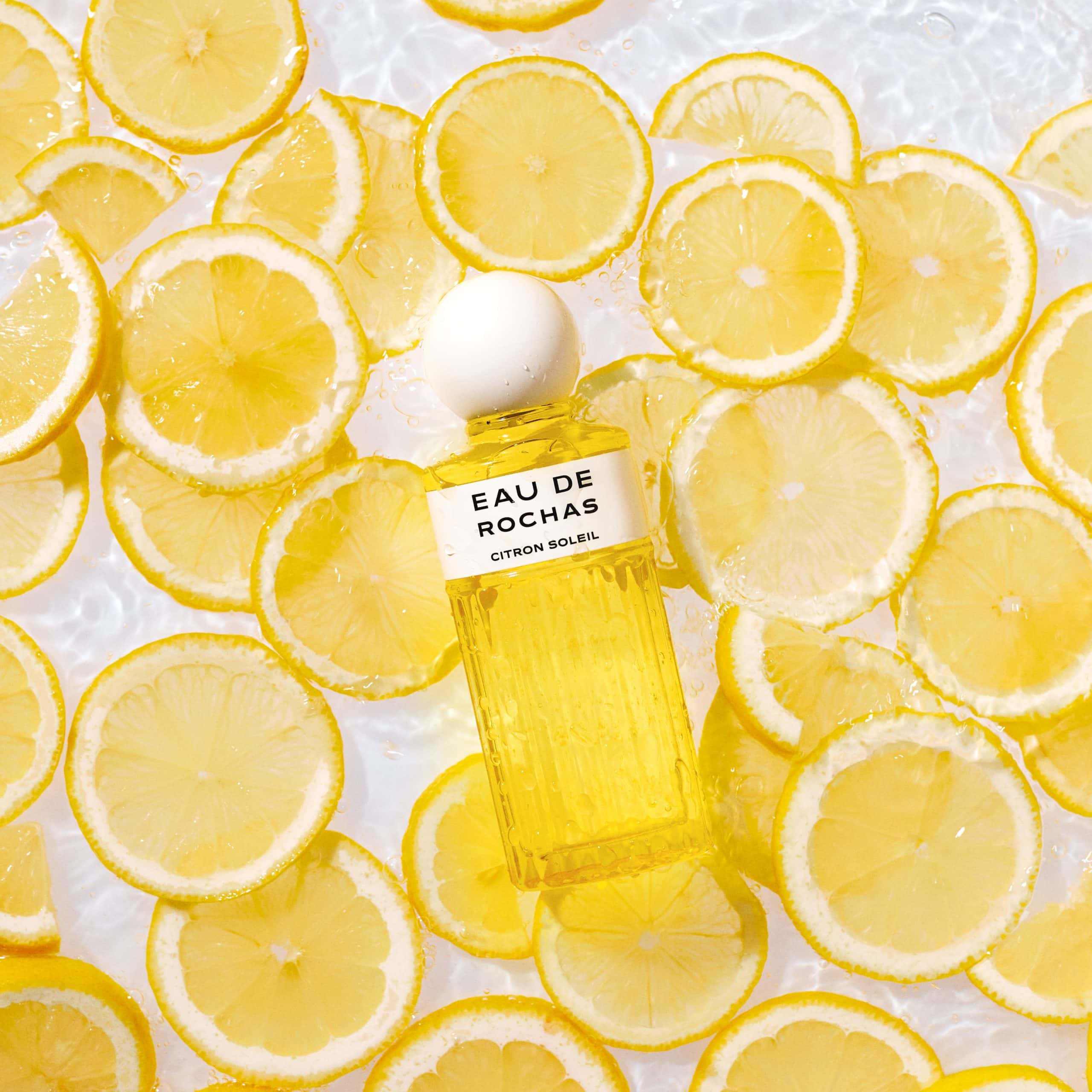 2023 DIGITAL ASSETS EDR CITRON SOLEIL LEMON SLICES SQUARE master scaled
