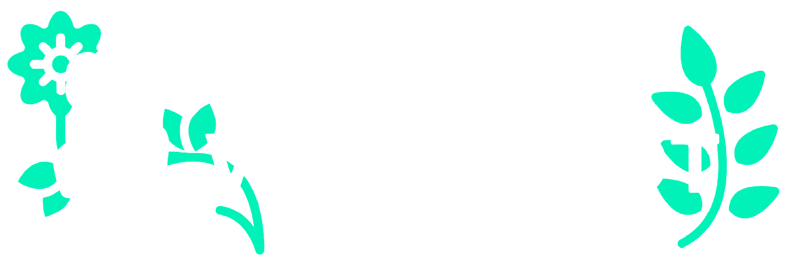 VAPORLOOT