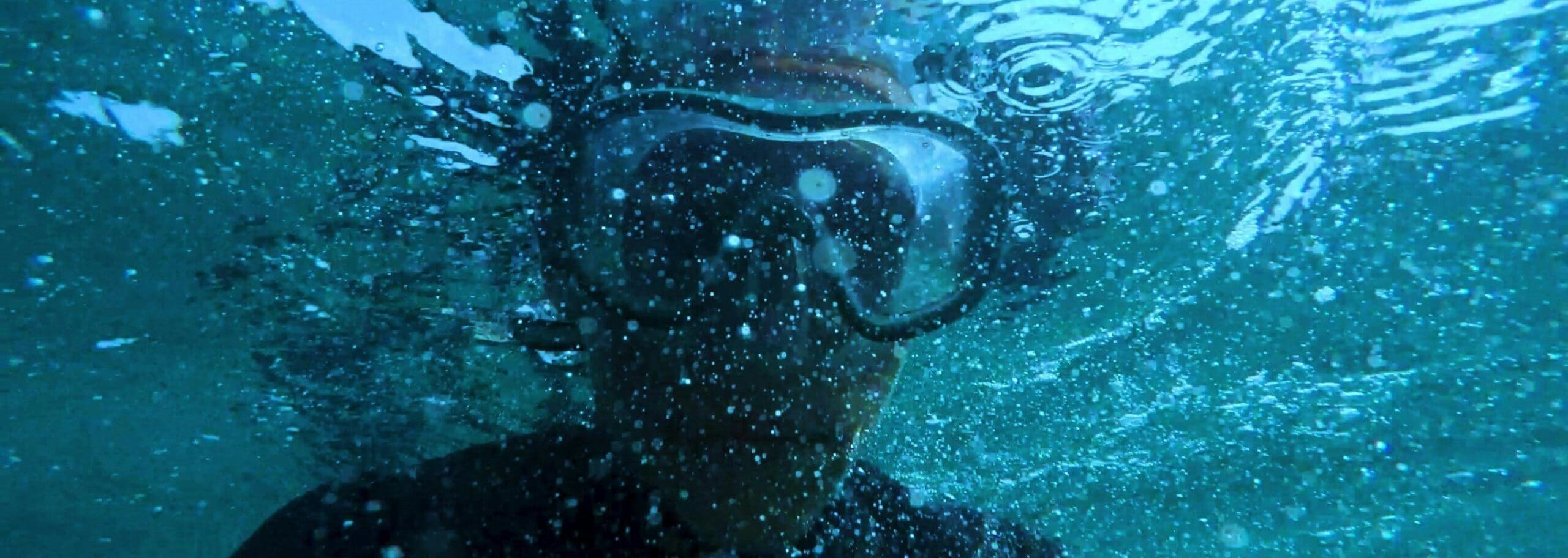 Cursos de Buceo: Desde Principiantes hasta Expertos