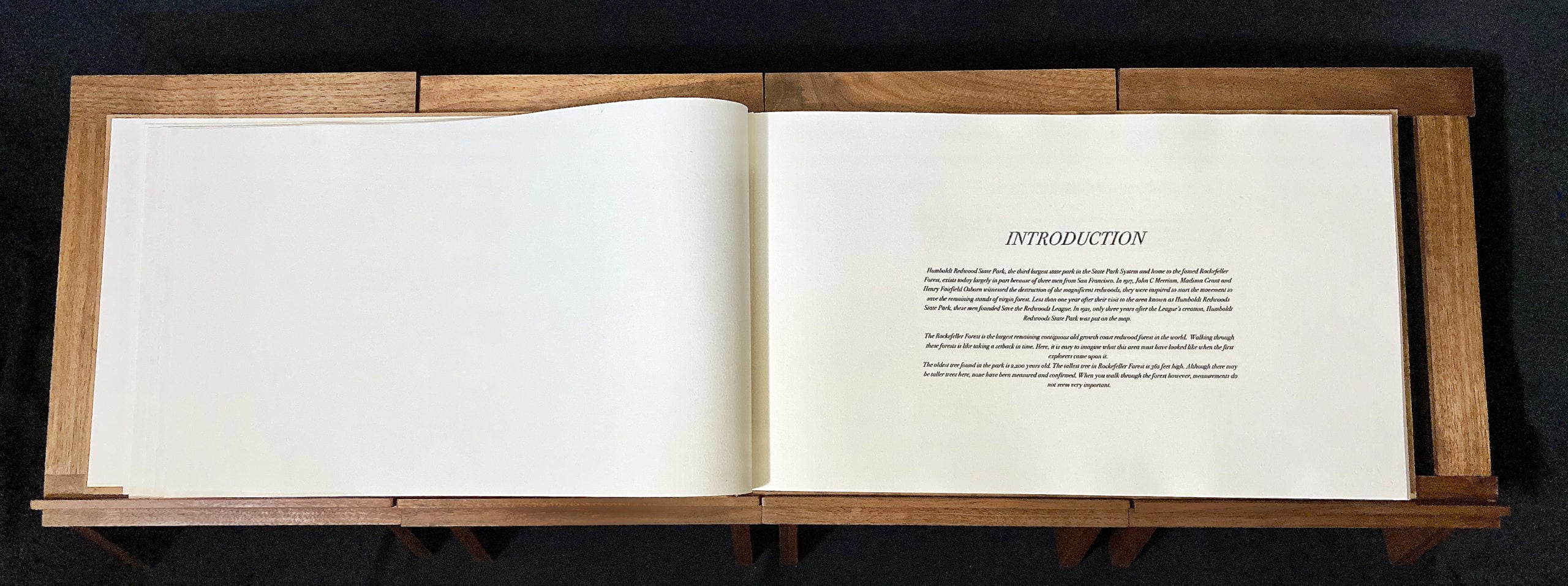 Introduction Page 1