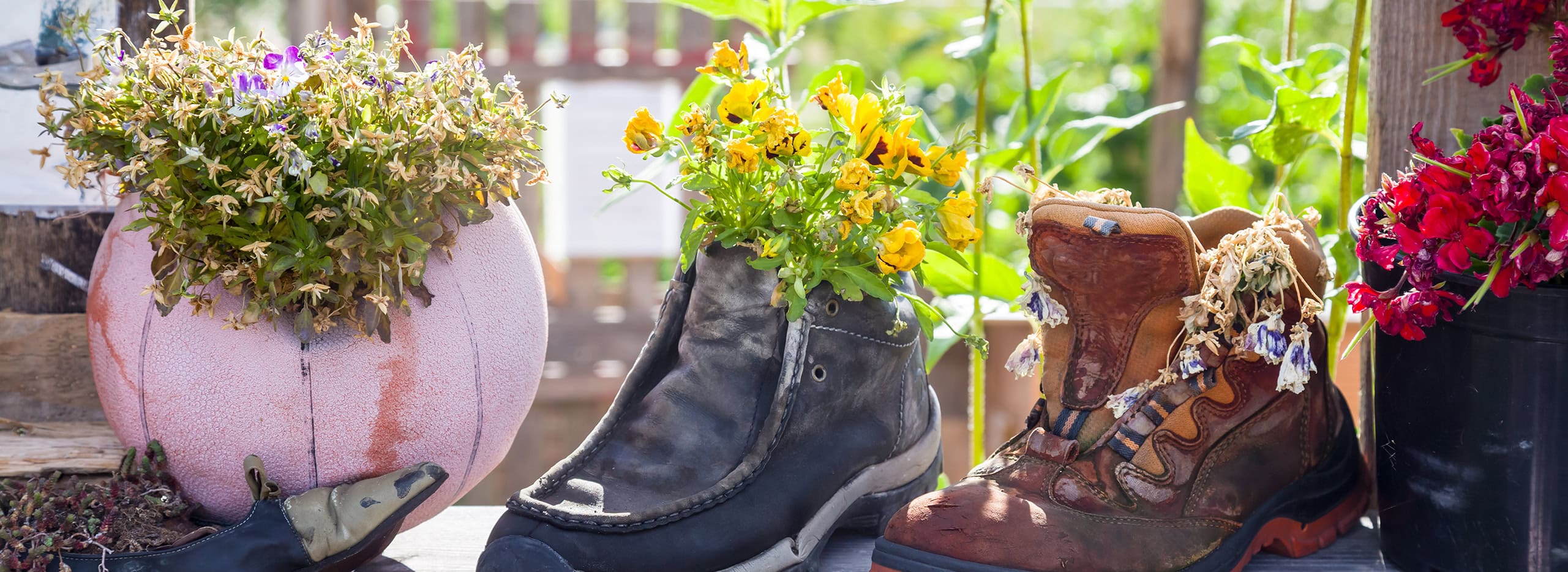 Mehrere alte Schuhe und ein Ball wurden kreativ zu Blumentöpfen umfunktioniert. In ihnen wachsen bunte Sommerblumen. Ein Beispiel für Upcycling.