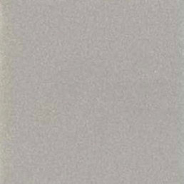 Aluminum Composite Material - Bright Champagne Silver Metallic Finish