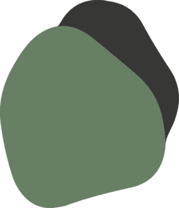 WLS_tache-verte-3