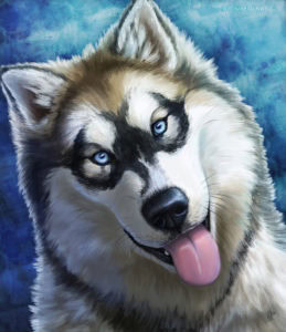 Realistic painted husky dog.