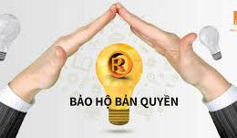 Tác phẩm được bảo hộ bản quyền- Đảm bảo an toàn tài sản