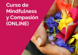 CURSO DE MINDFULNESS Y COMPASIÓN - COMIENZO EN ENERO 2025 5 Curso de Mindfulness y Compasión
