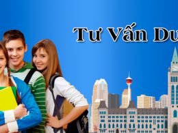 Thành lập trung tâm tư vấn du học