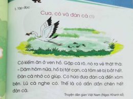 Bản quyền ngữ liệu sách Tiếng Việt lớp 1: Có hay không