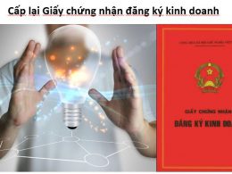 Trường hợp nào được cấp lại Giấy chứng nhận đăng ký hộ kinh doanh