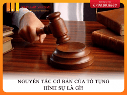 Nguyên tắc cơ bản của tố tụng hình sự là gì?