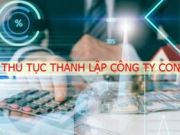 Quyết định thành lập công ty con cần thủ tục gì?