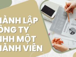 Đăng ký công ty TNHH 1 thành viên