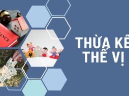 Hàng thừa kế thế vị là gì